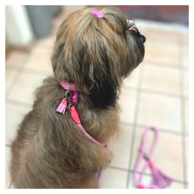 Sweety Hondenhalsband L (Halsomvang 38-47 cm / 4 cm)