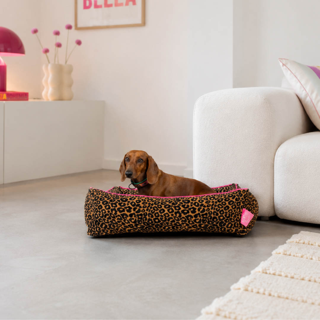Lazy Leopard Hondenmand M (50x60cm / 65x80cm)