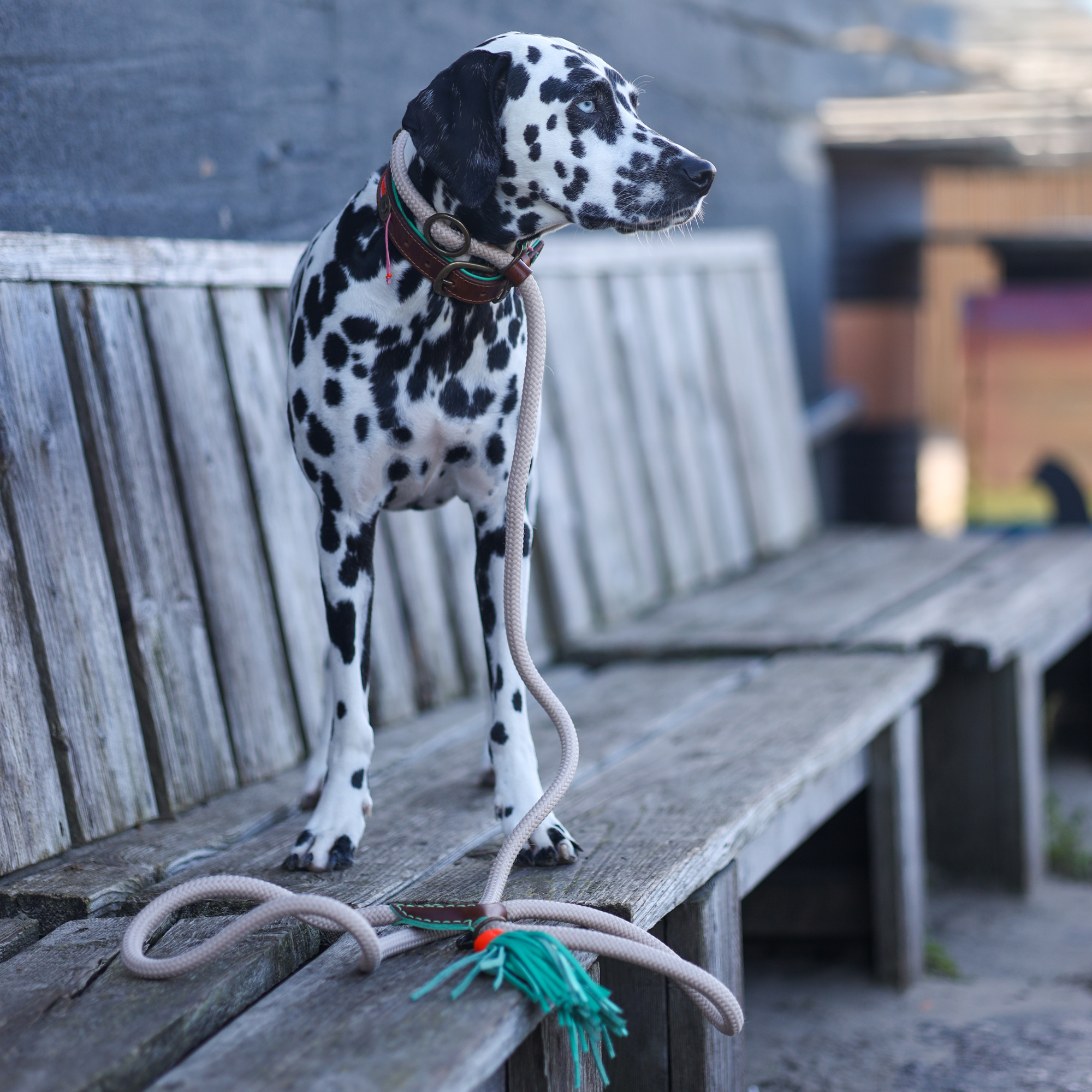 Long John Sand Sliplead