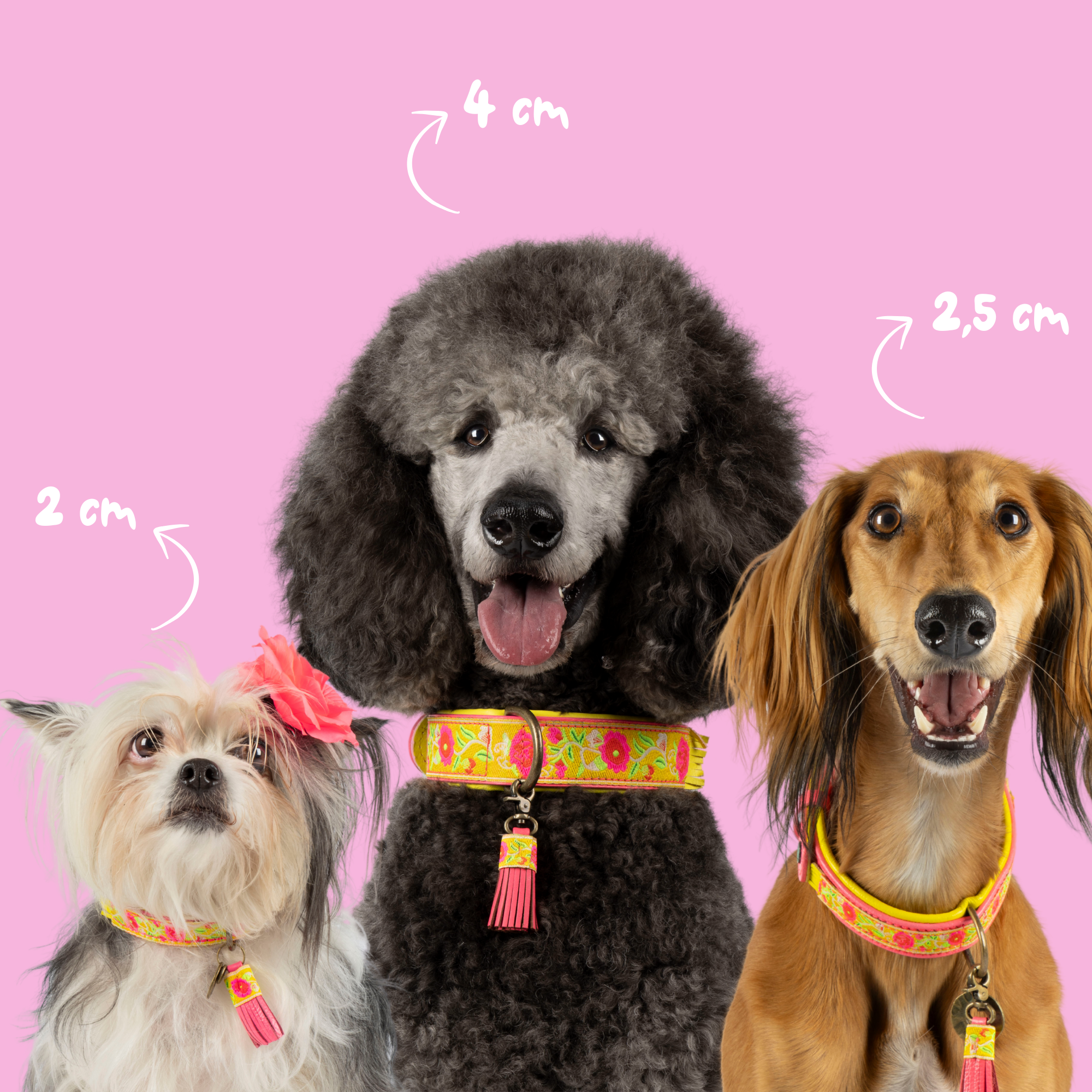 Lotus_halsband_Dog with a Mission_DWAM-3