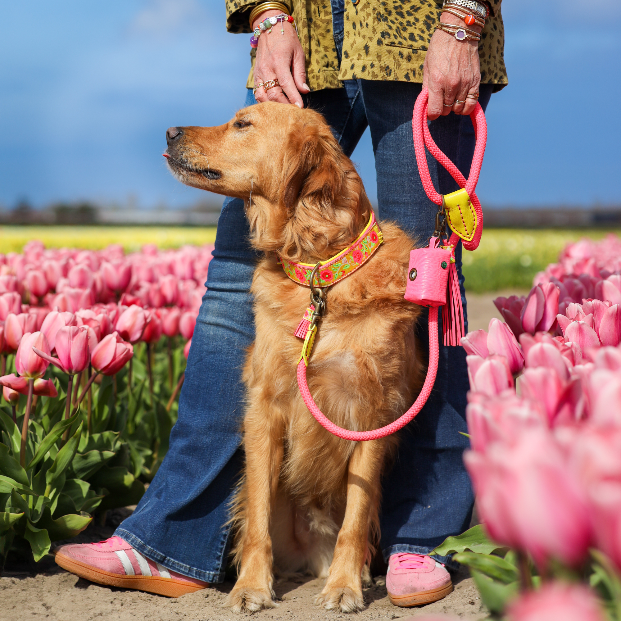 Lotus halsband en hondenriem 3