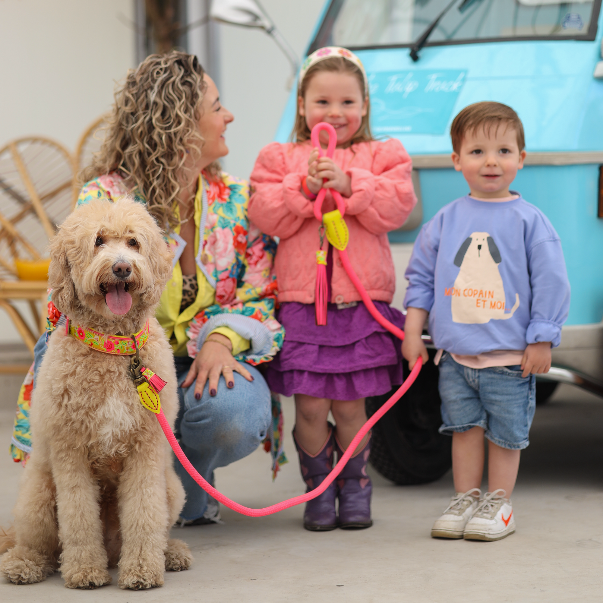 Lotus halsband en hondenriem 5