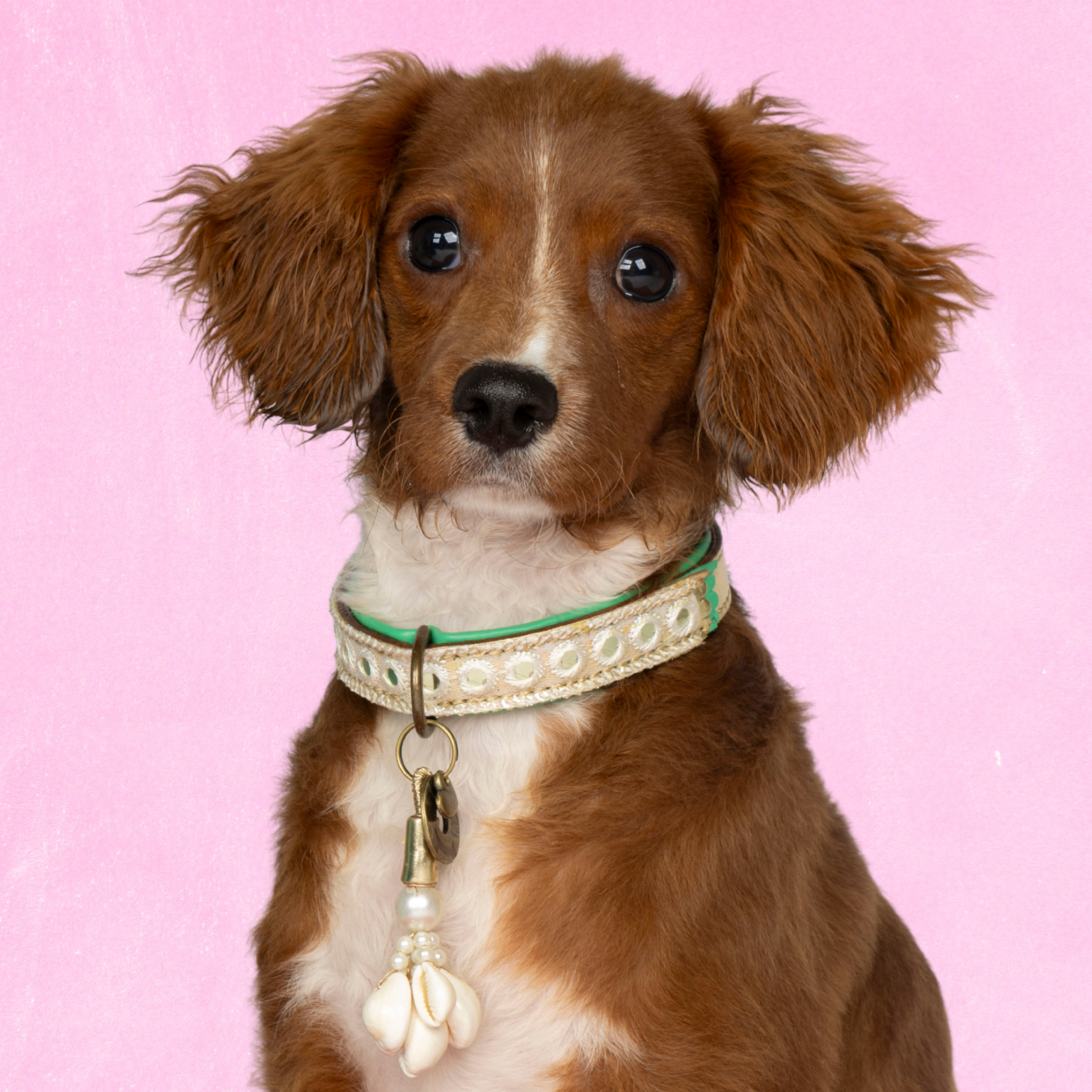 Love Story Dog Collar Xs (Neck Size 23-29 cm / 2 cm)