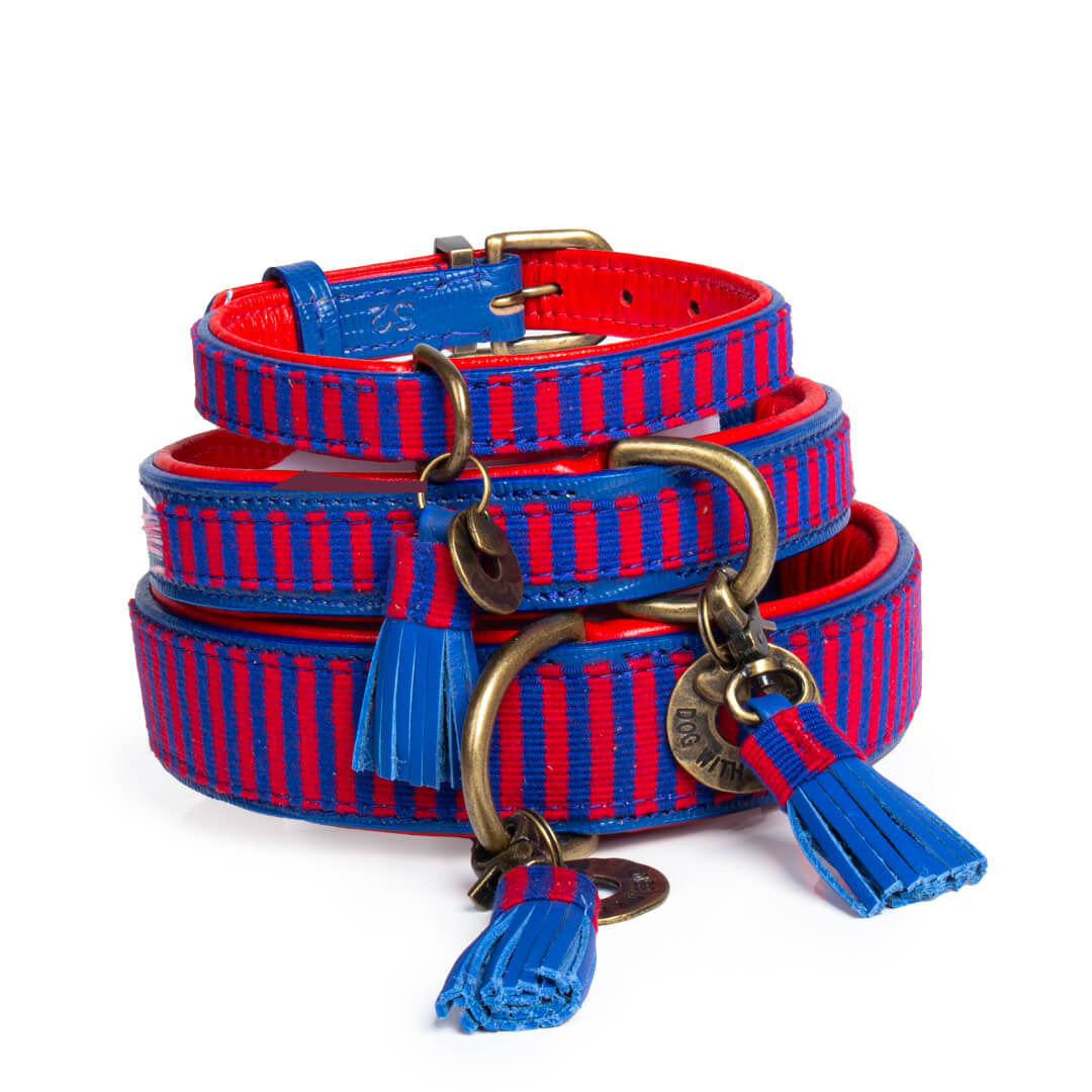 Mr Clooney-Dog-with-a-mission-Hondenhalsband-gestreept-stoer-mr-clooney