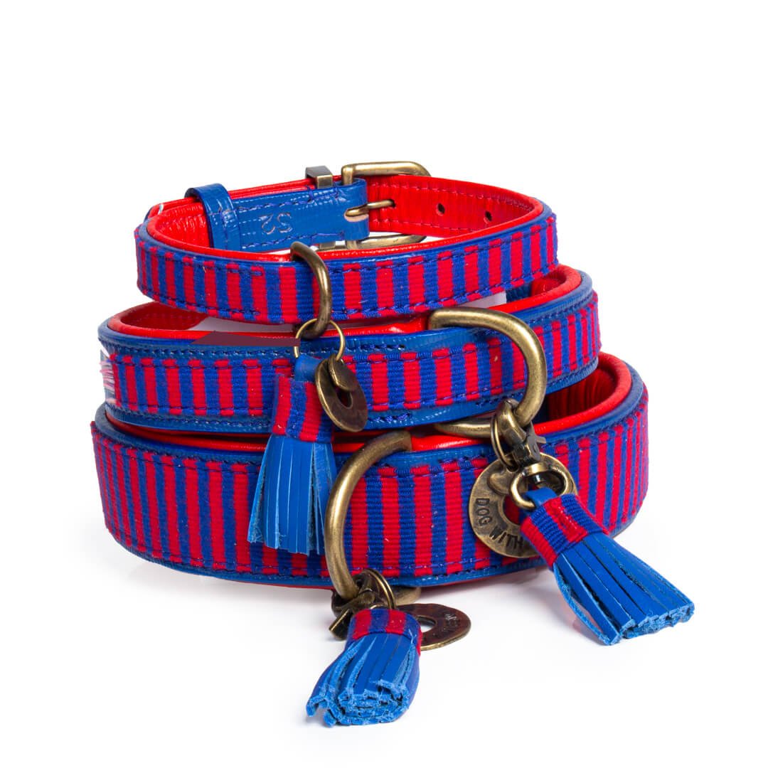 Mr Clooney-Dog-with-a-mission-Hondenhalsband-gestreept-stoer-mr-clooney