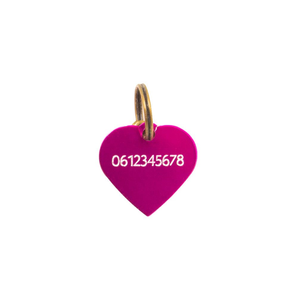 penning-roze-hartje-s-10843-nl-G