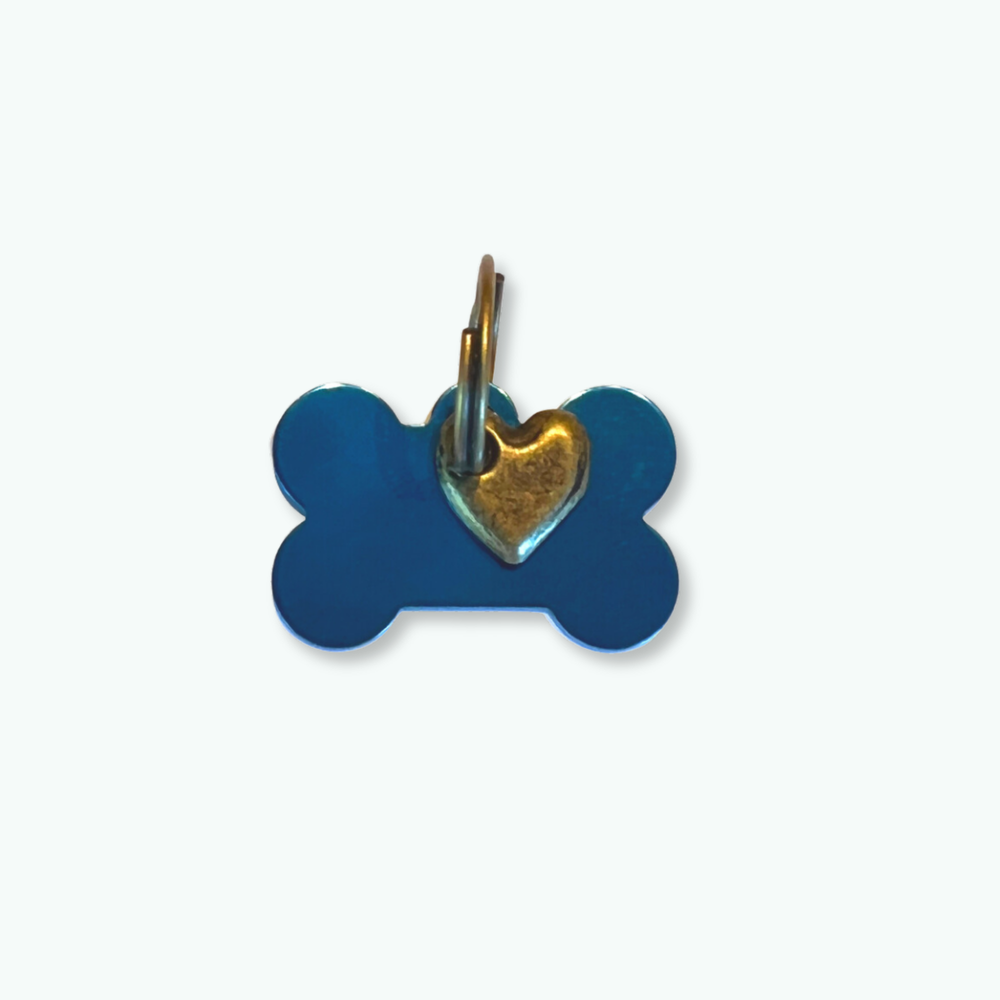 Penning turquoise botje S - Dog with a Mission