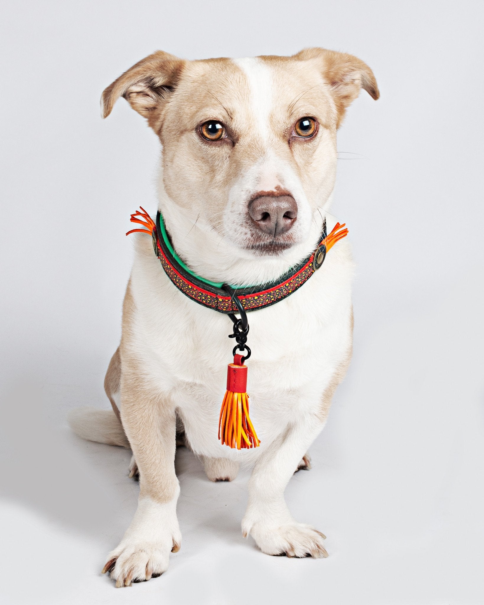 Red Robin dogcollars DWAM