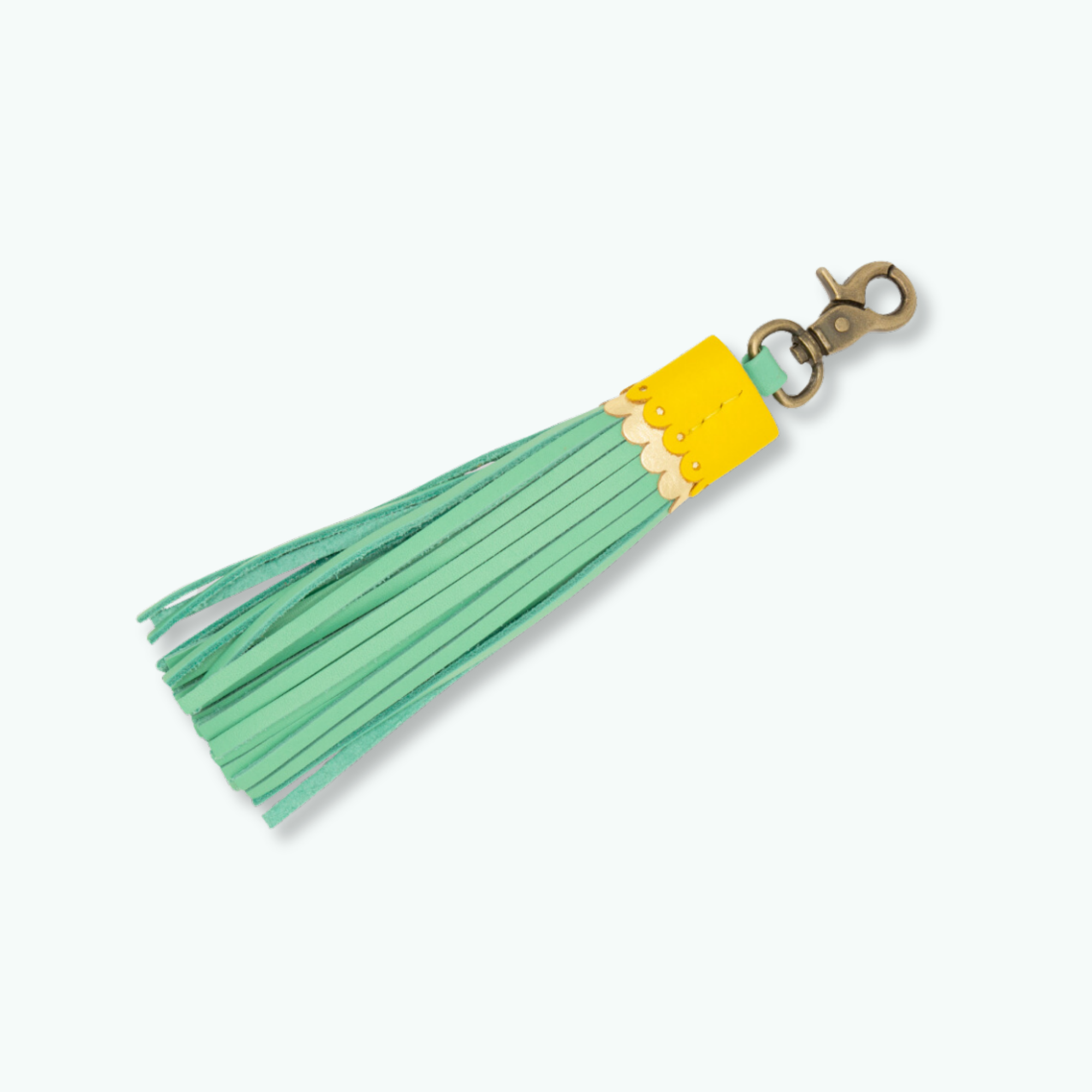 Rover Grote Kwast Hondenriem