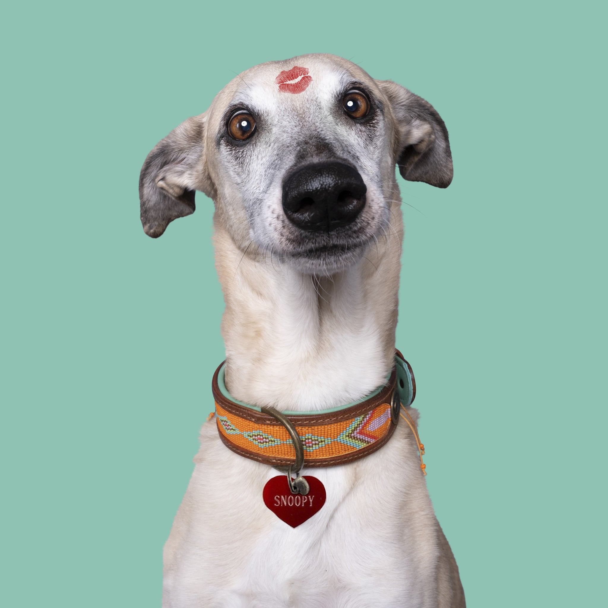 Scout-penning-Turquoise