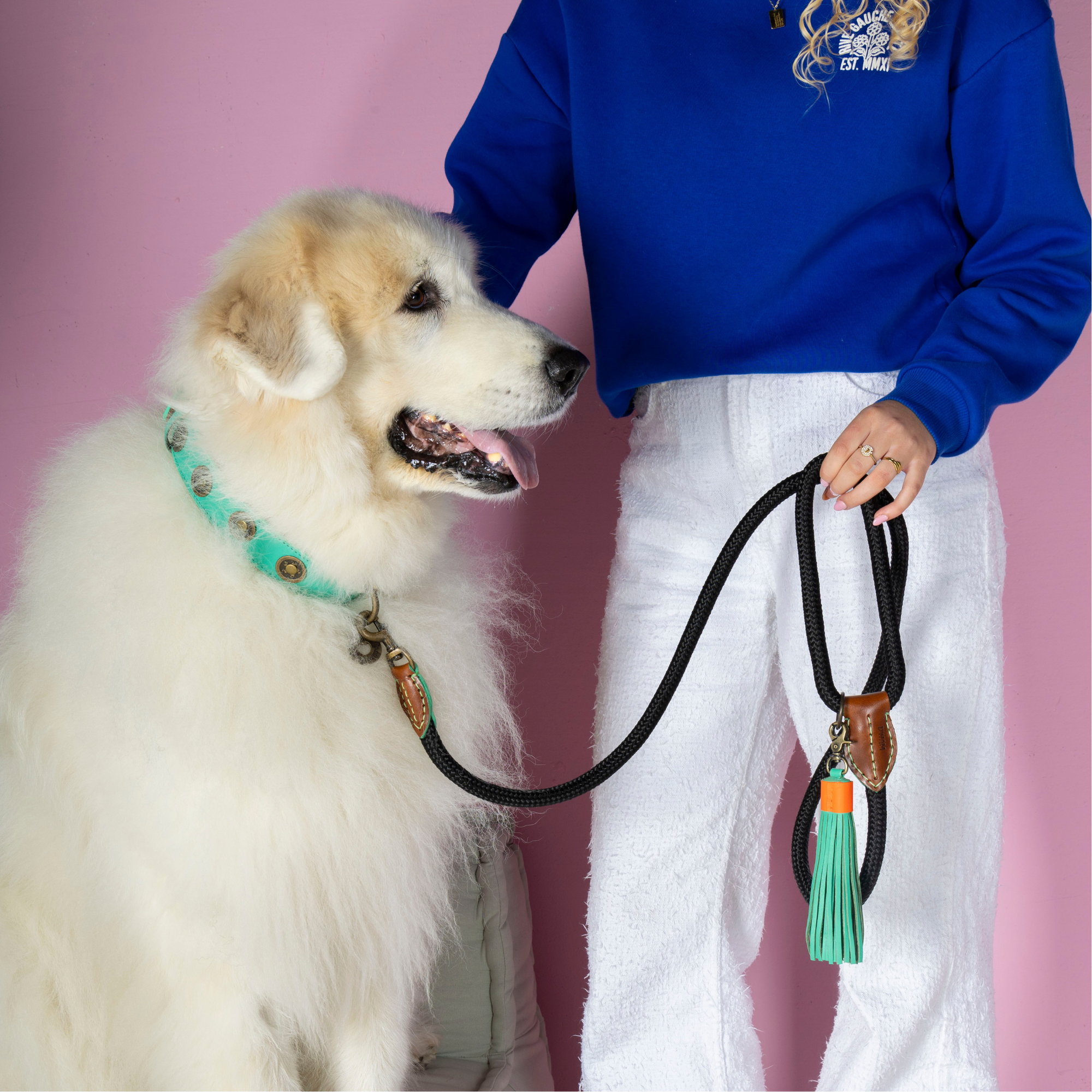 Classic Stone Hondenriem L (155 cm X 1,4 cm)