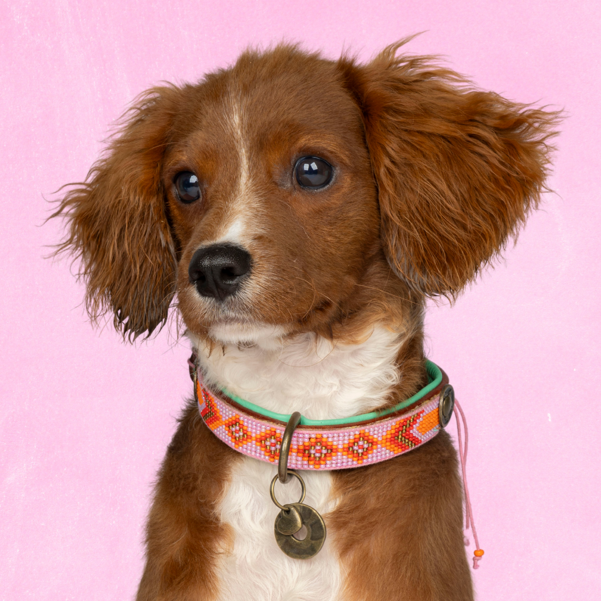 Beads Sweet Mae Hondenhalsband XS (Halsomvang 23-29 cm / 2 cm)