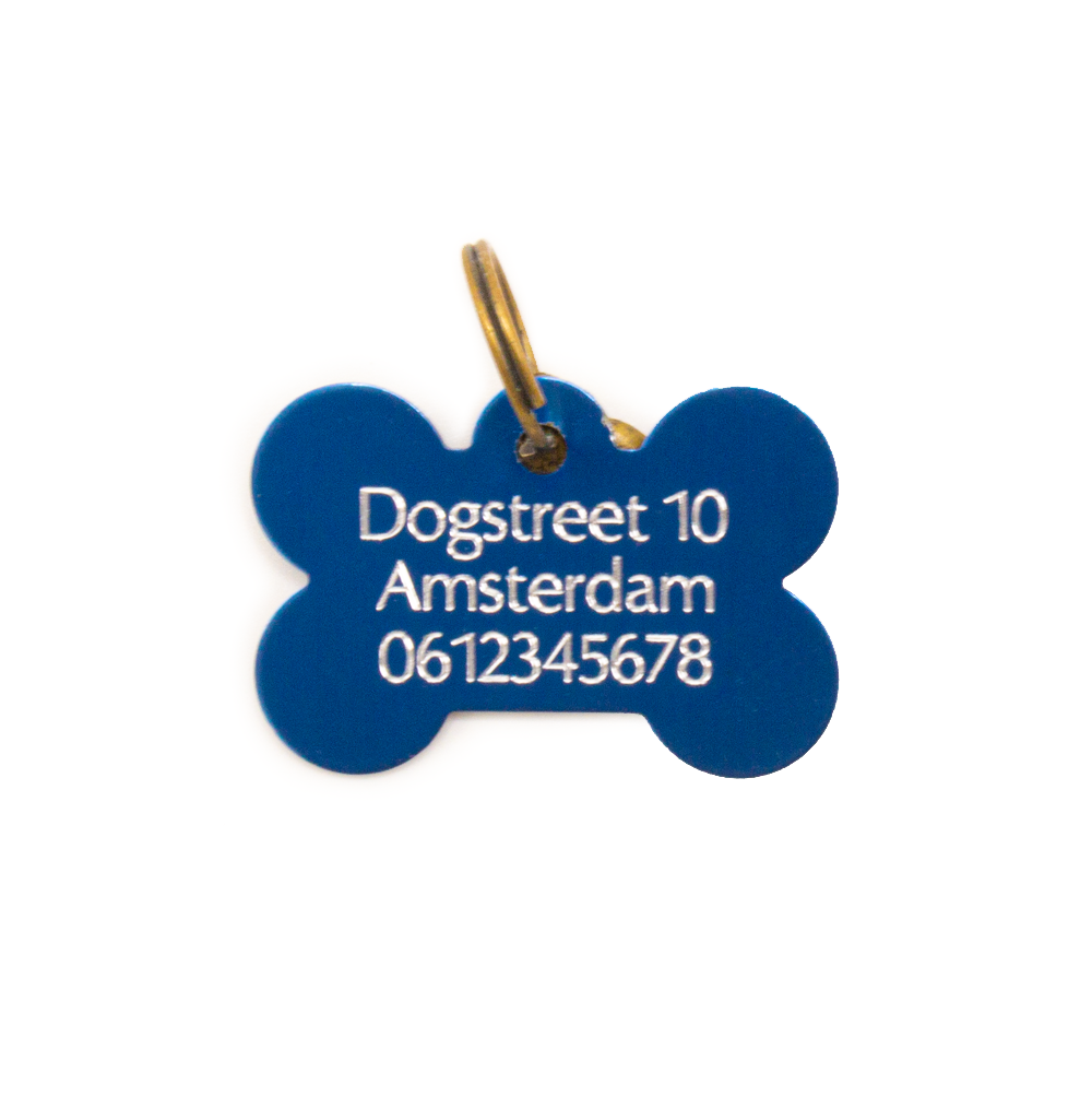 Tag_Bone-Turquoise-LargeBack