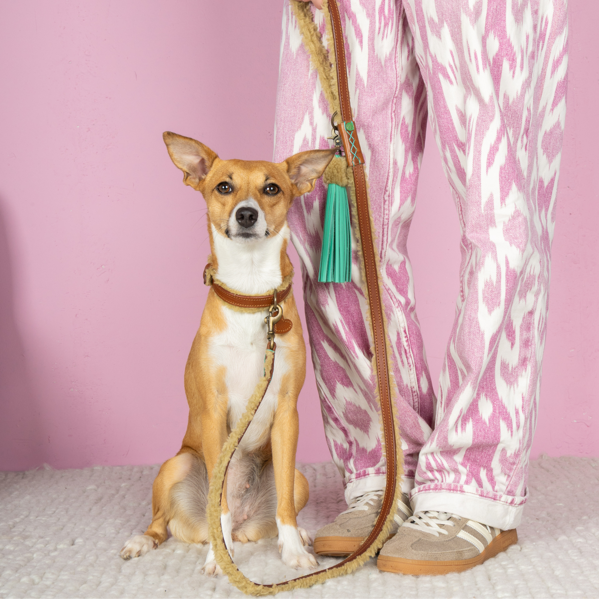 Teddy Hondenriem S (135Cm X 1,6 cm)