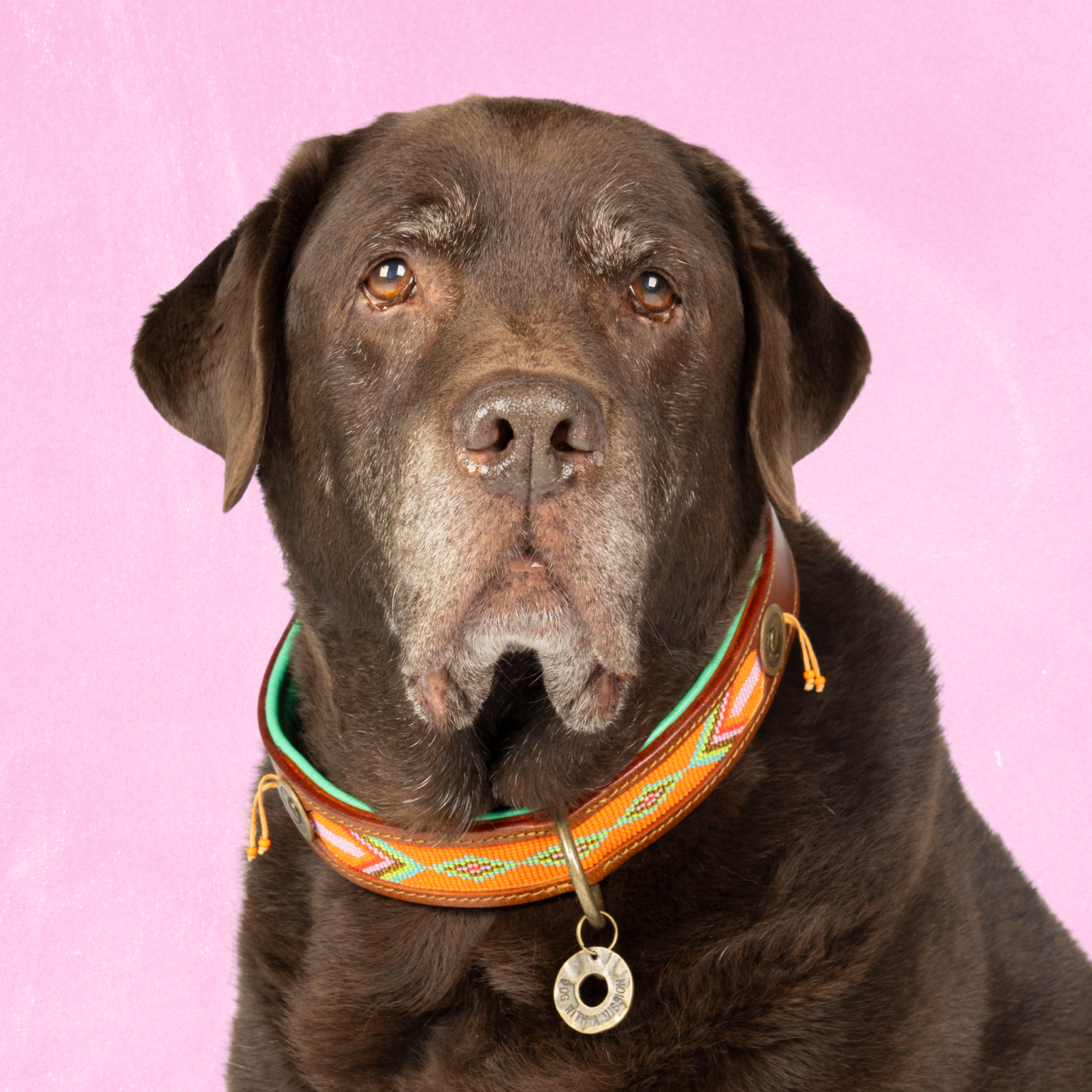 Beads Tiger Lily hondenhalsband XXL 4 cm oranje geel kralen leer Dog with a Mission DWAM