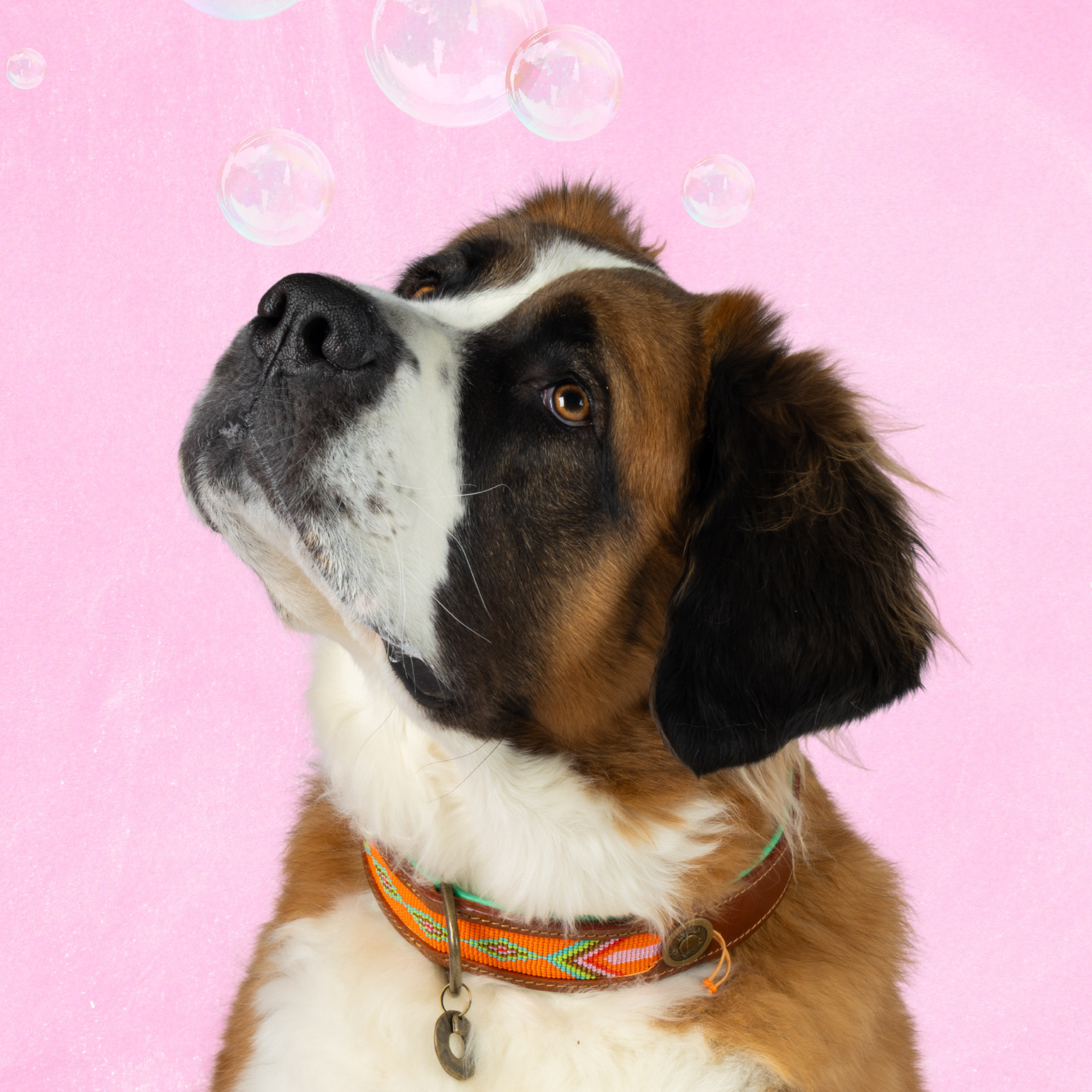 Beads Tiger Lily Dog Collar XXL (Neck Size 55-65 cm / 4 cm)