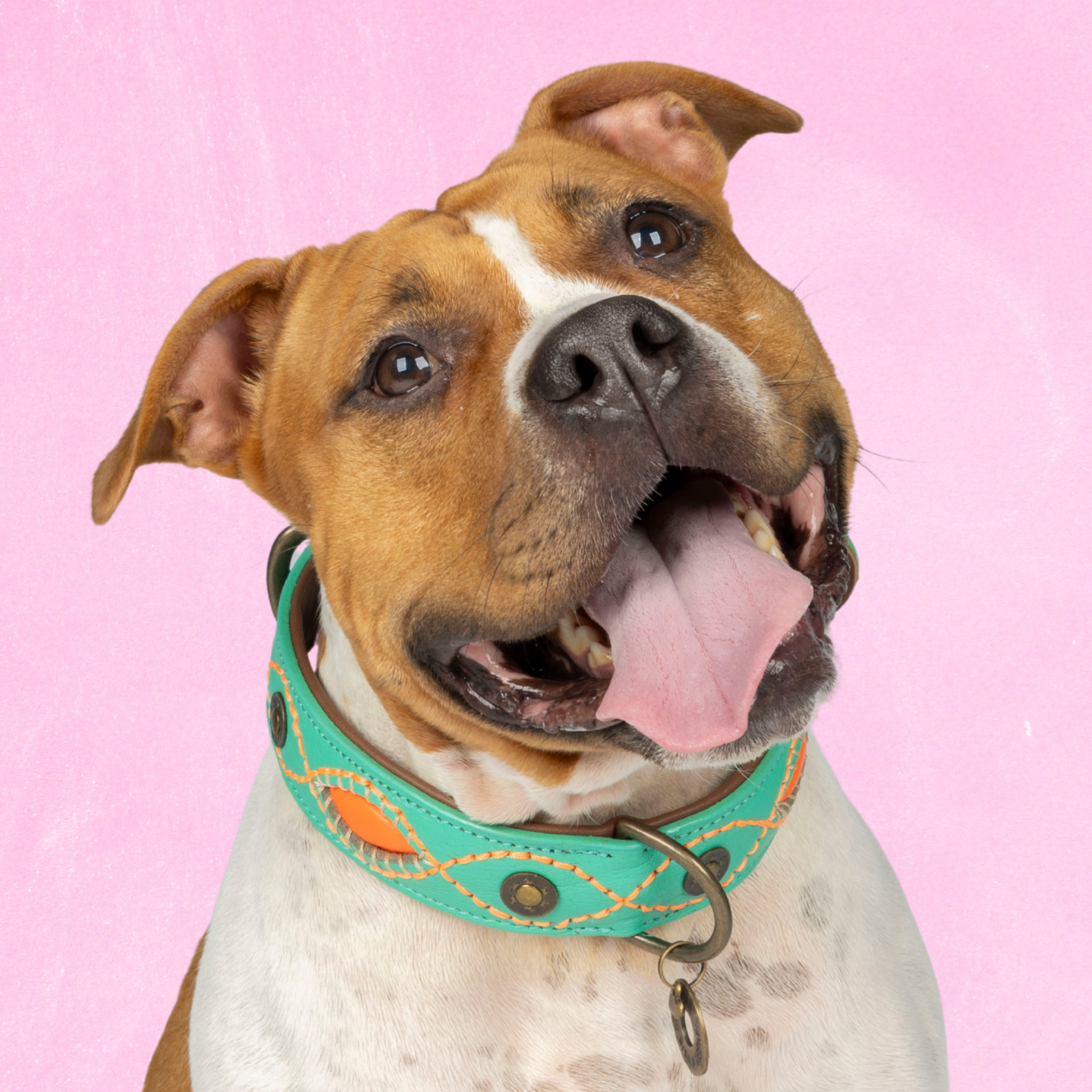 Urban Janis Hondenhalsband XL (Halsomvang 47-57 cm / 4 cm)