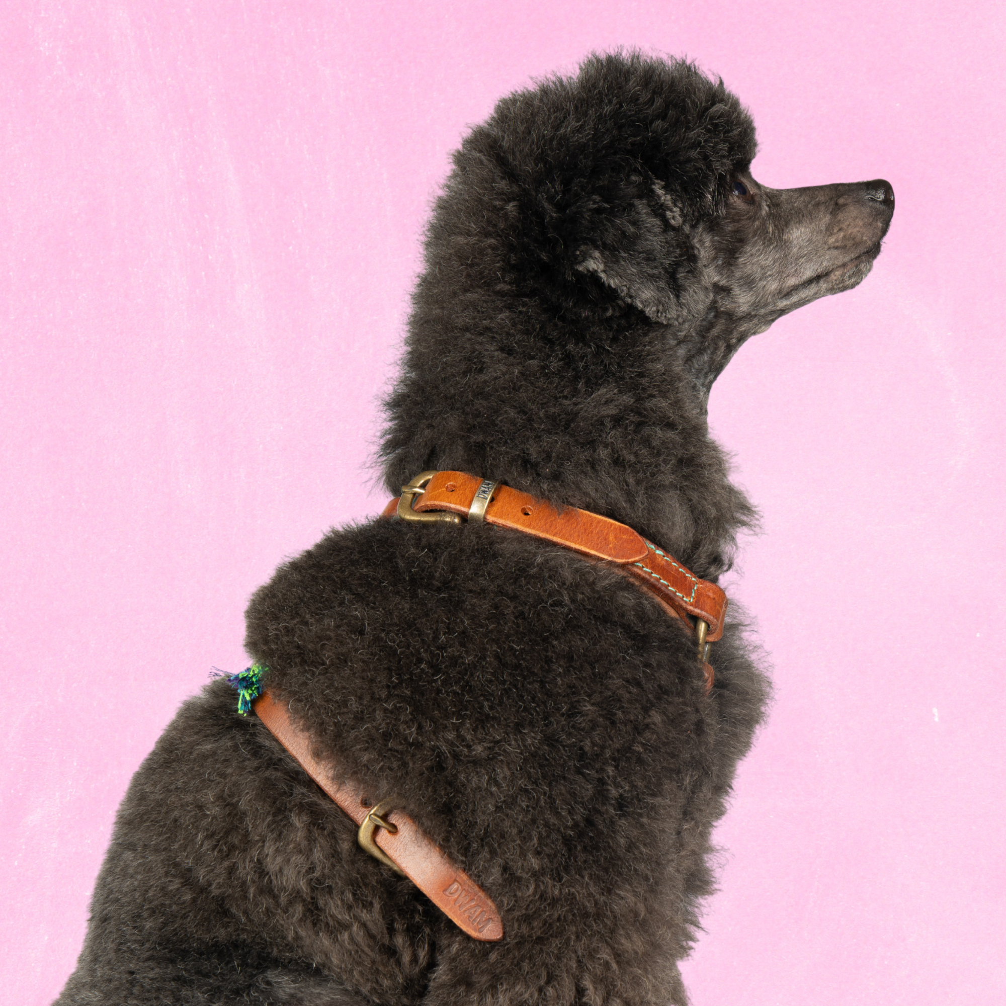 Boho Juan Tuigje XS (35,5-44 cm)