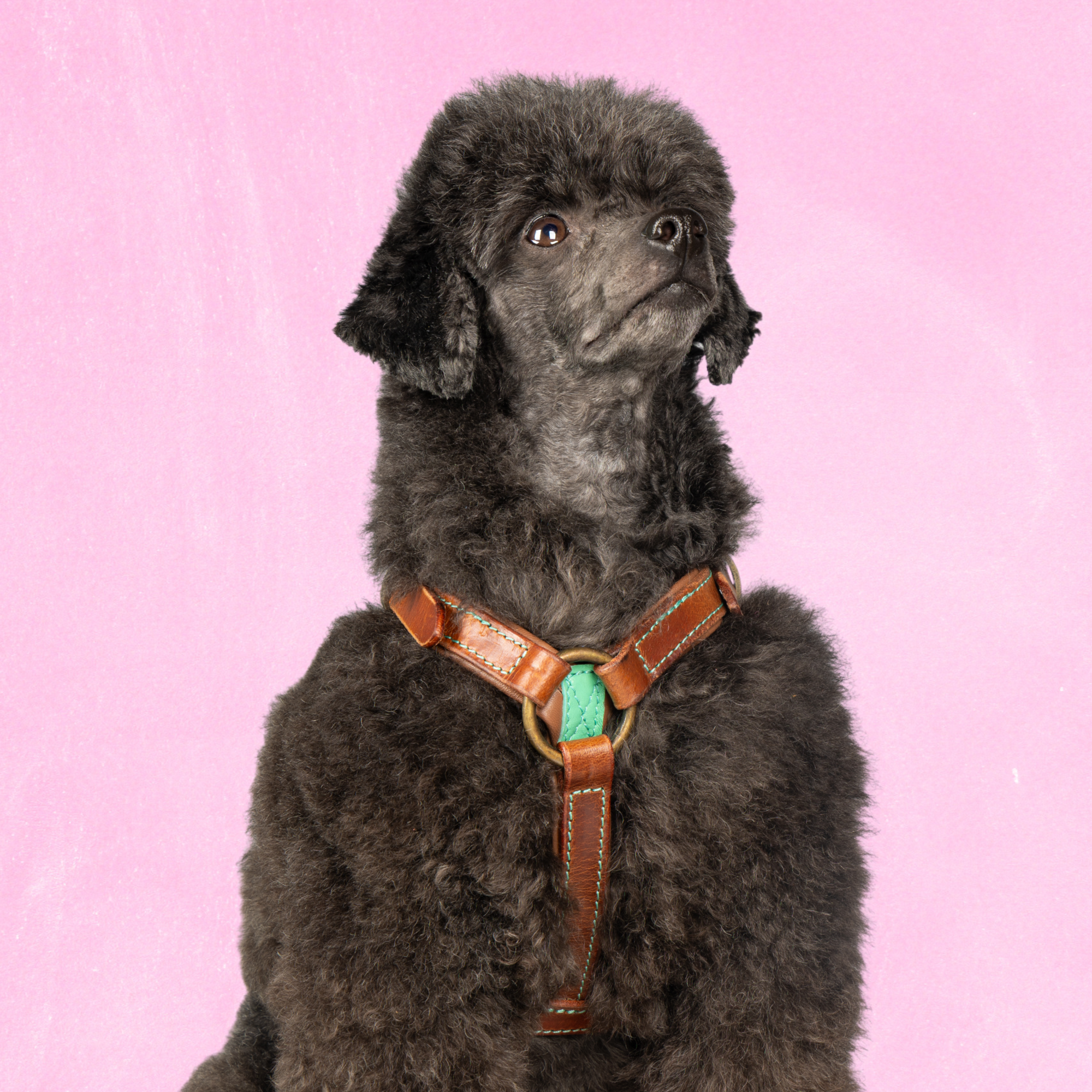 Boho Juan Tuigje XS (35,5-44 cm)