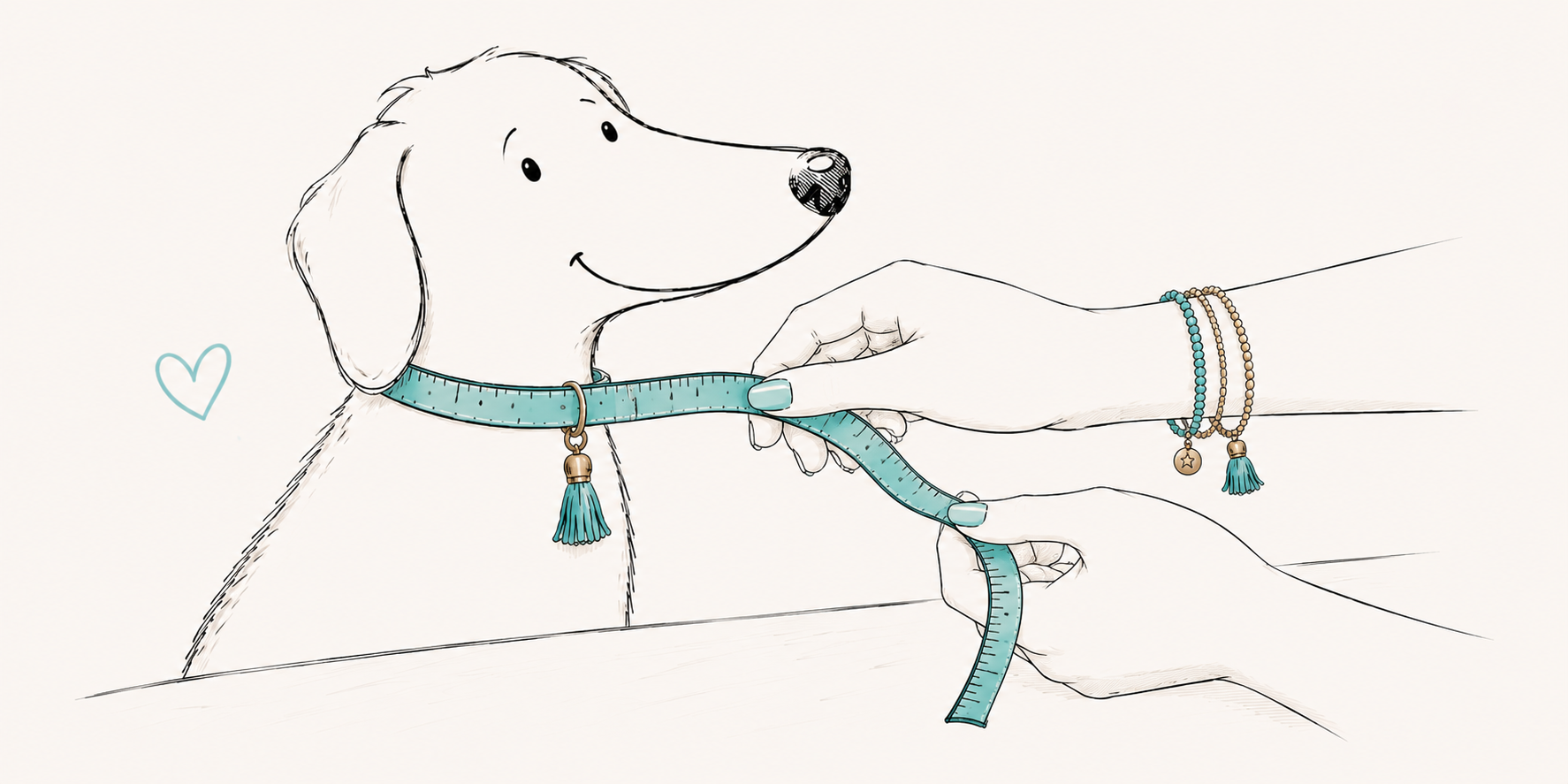 Measuring a dog's neck to determine collar size