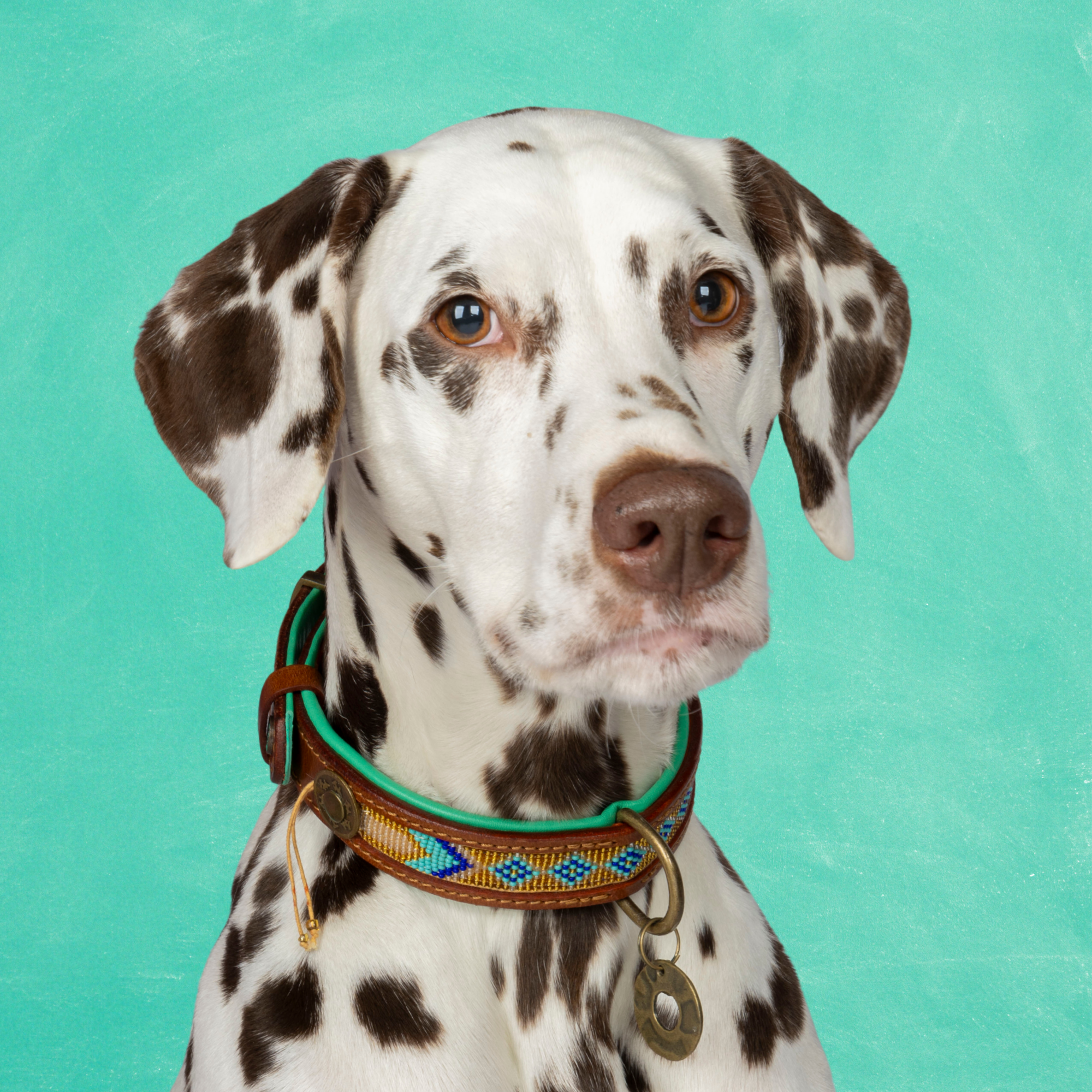 Beads Indi Moon Hondenhalsband M (Halsomvang 32-39 cm / 2,5 cm)