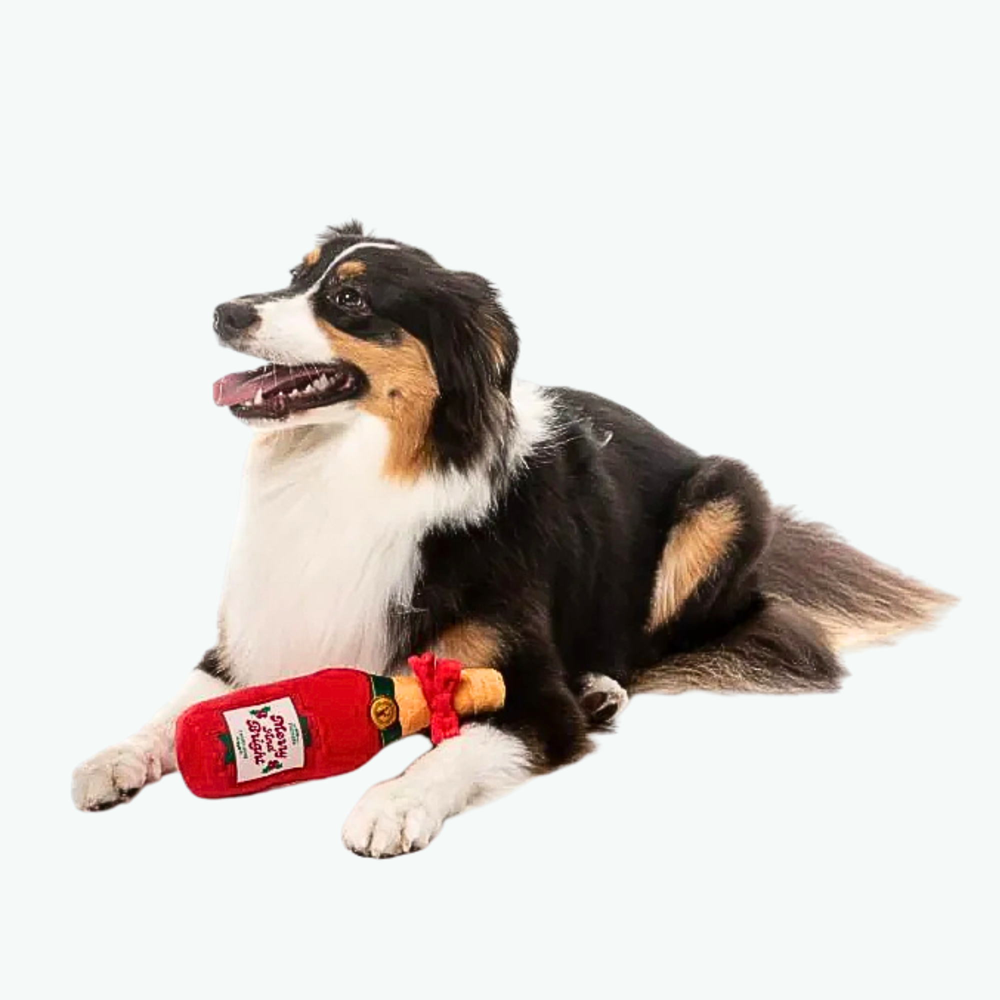 Dog Toy - Merry & Bright Chomp-Agne