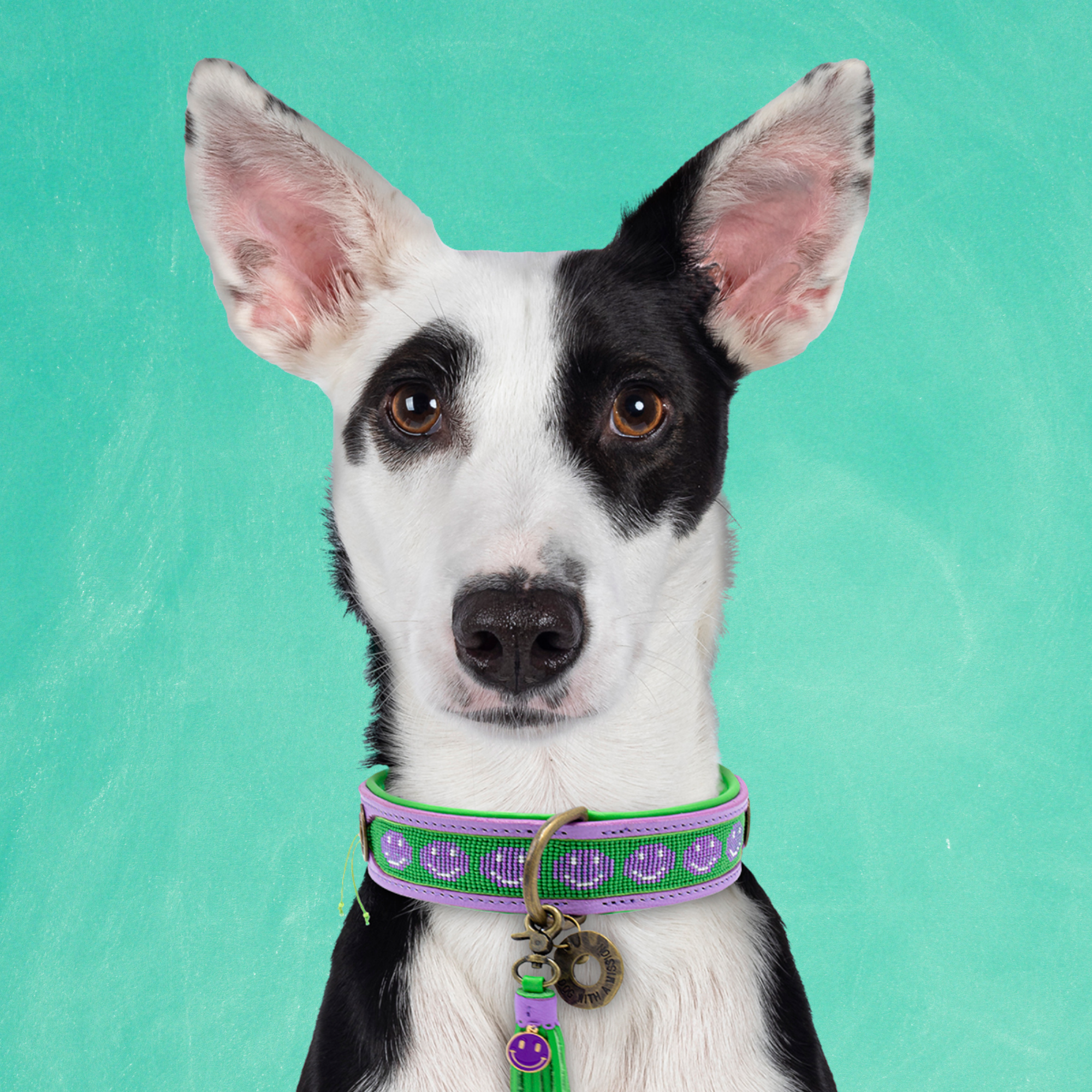 Smiley Hondenhalsband L ( Halsomvang 38-47 cm / 2,5 cm)