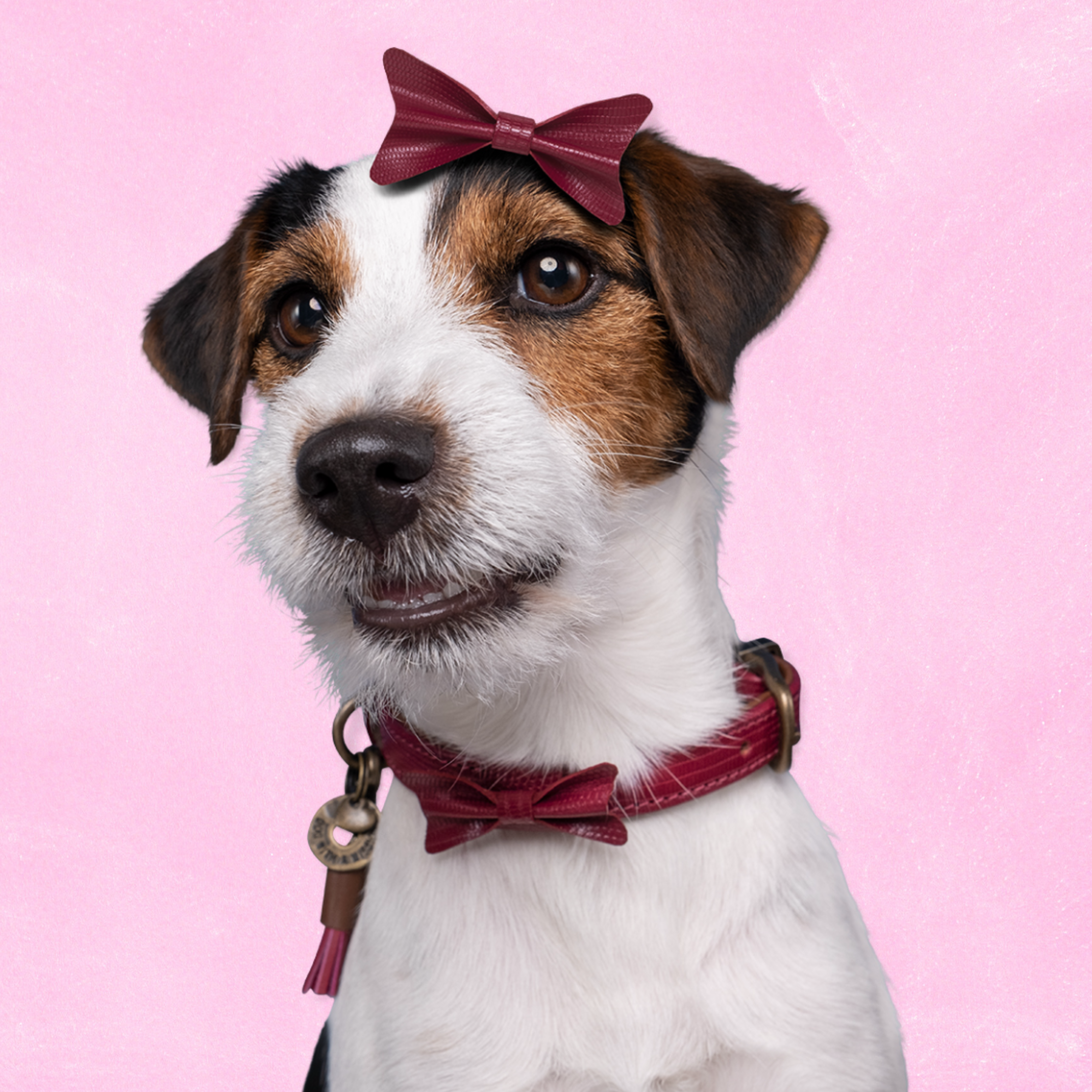 City Bonnie Hondenhalsband XXL (Halsomvang 55-65 cm / 4 cm)