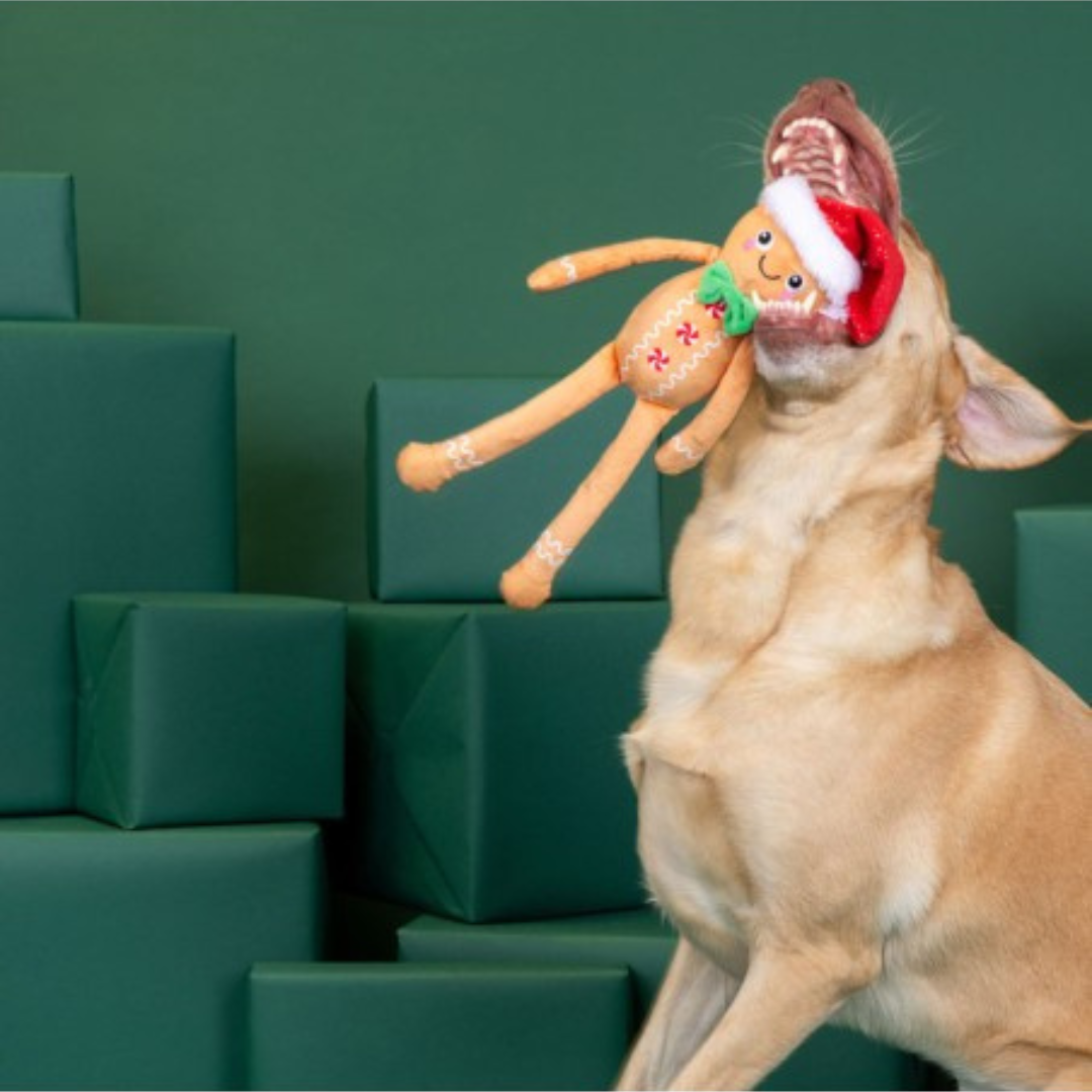 Seasons Eatings! Plush Dog Toy