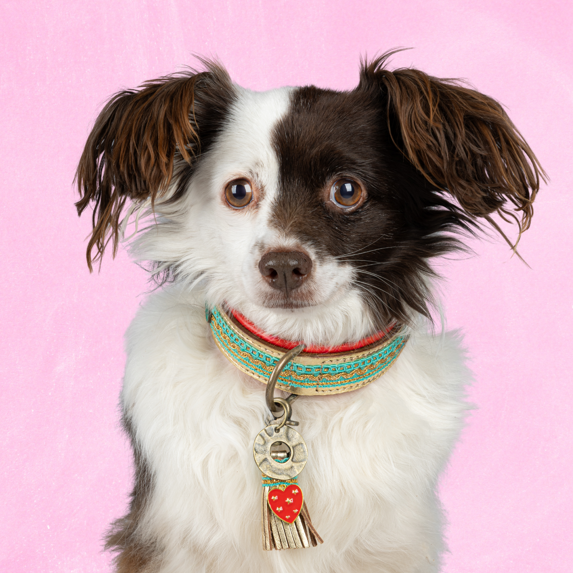 Coco Noël 2,5 cm Halsband S (Halsomvang  27-33 cm / 2,5 cm)