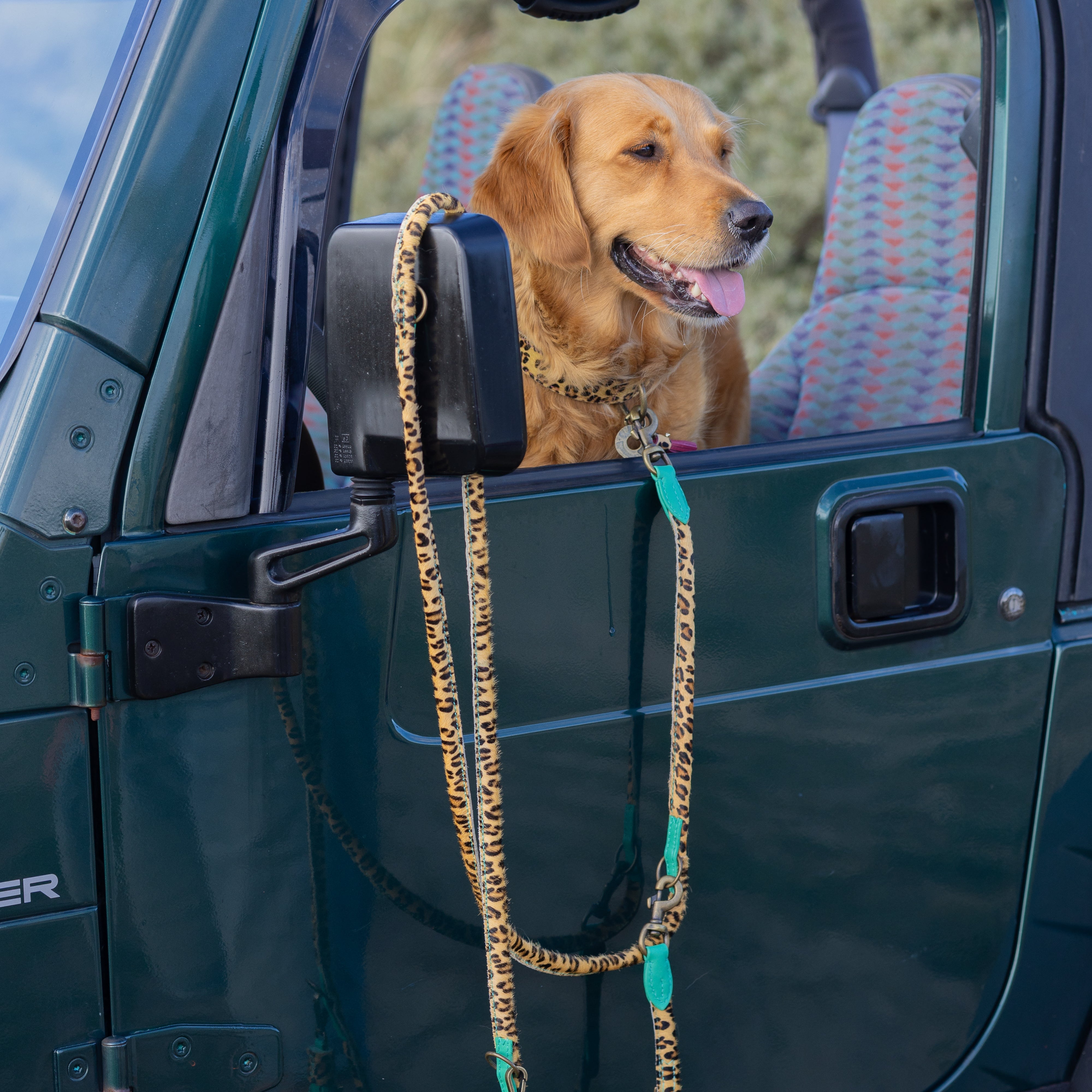 Extra Long Amsterdam Dog Leash  L (220 cm X 1,4 cm / Adjustable)