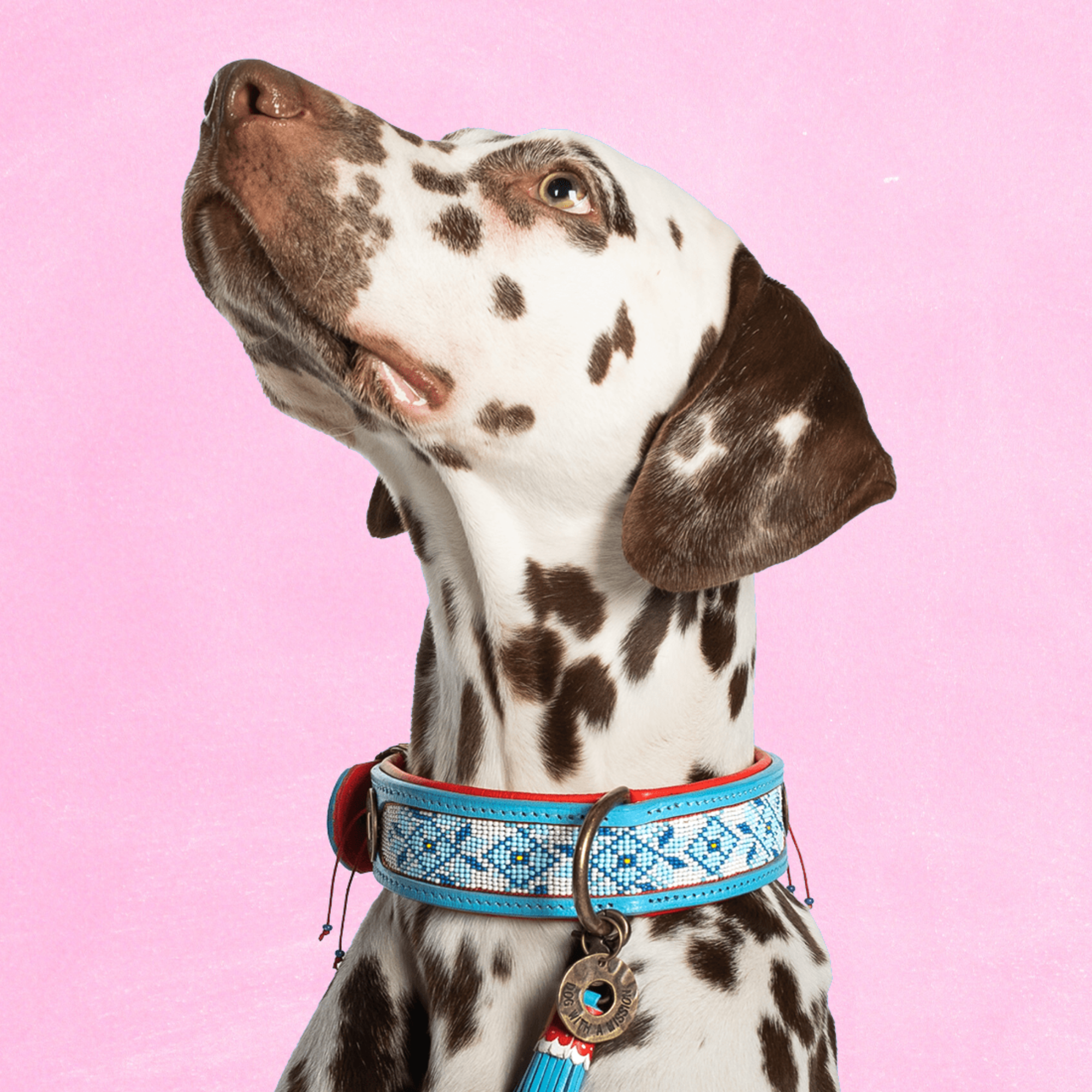 Dutchie Hondenhalsband XL (Halsomvang  47-57 cm / 4 cm)