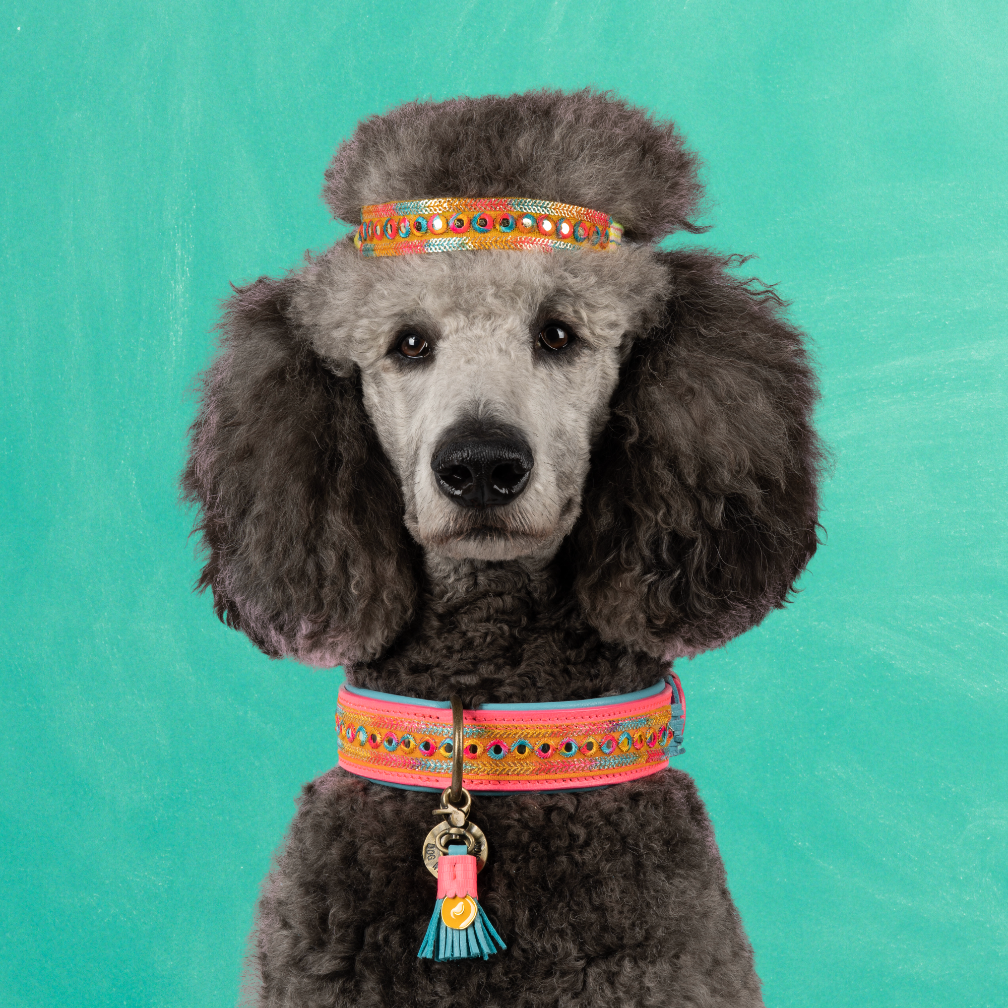 Roze leren hondenhalsband Indian Summer L - Dog with a Mission handgemaakt met kwastje grote honden



