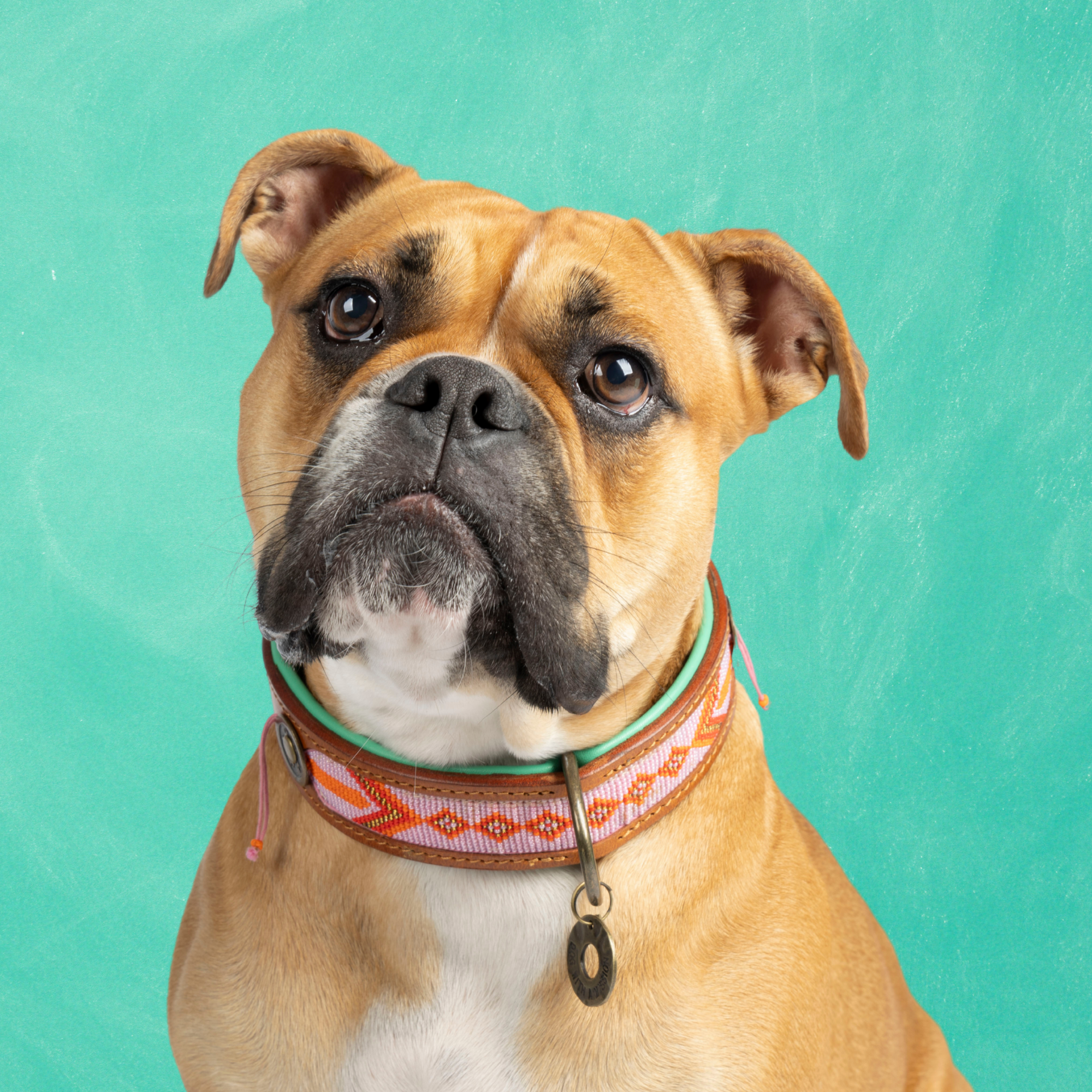 Beads Sweet Mae Hondenhalsband XL (Halsomvang 47-57 cm / 4 cm)