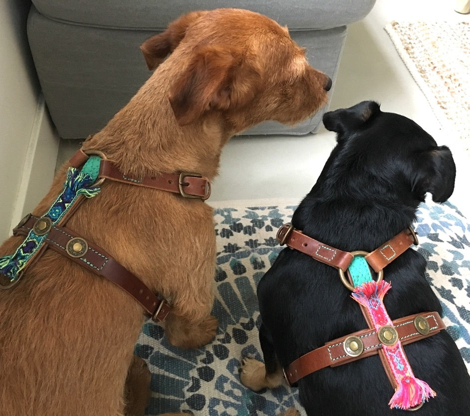 5FF9159A-CB3F-4AC0-9B60-01E50D1A9D8F_1_105_c