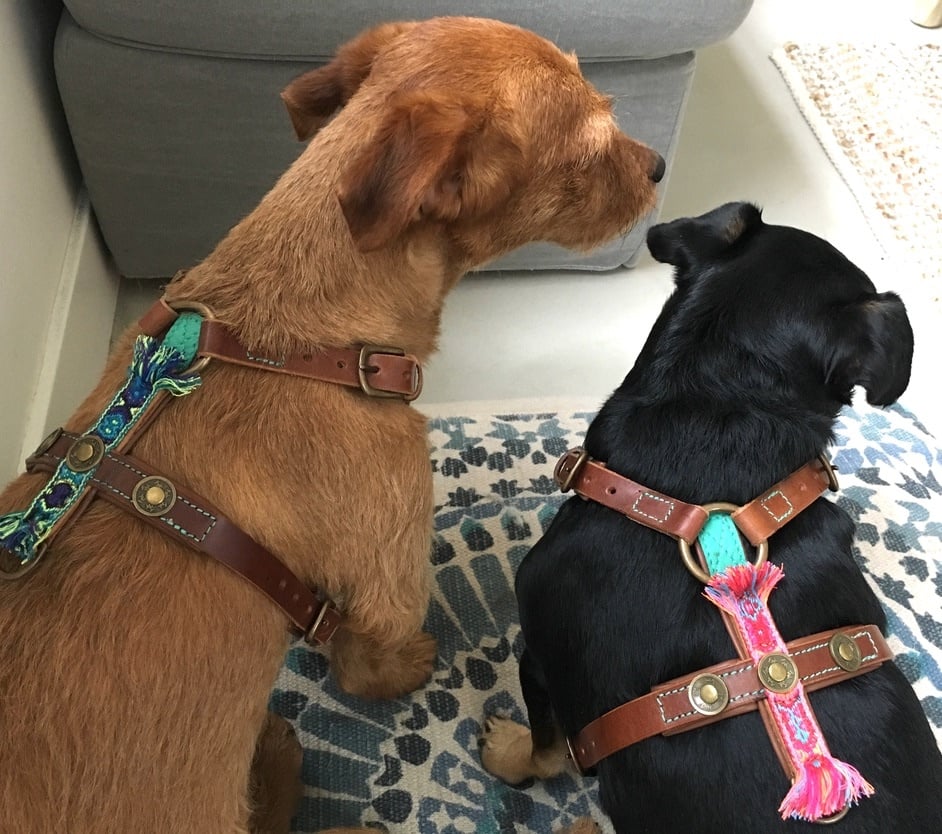 5FF9159A-CB3F-4AC0-9B60-01E50D1A9D8F_1_105_c