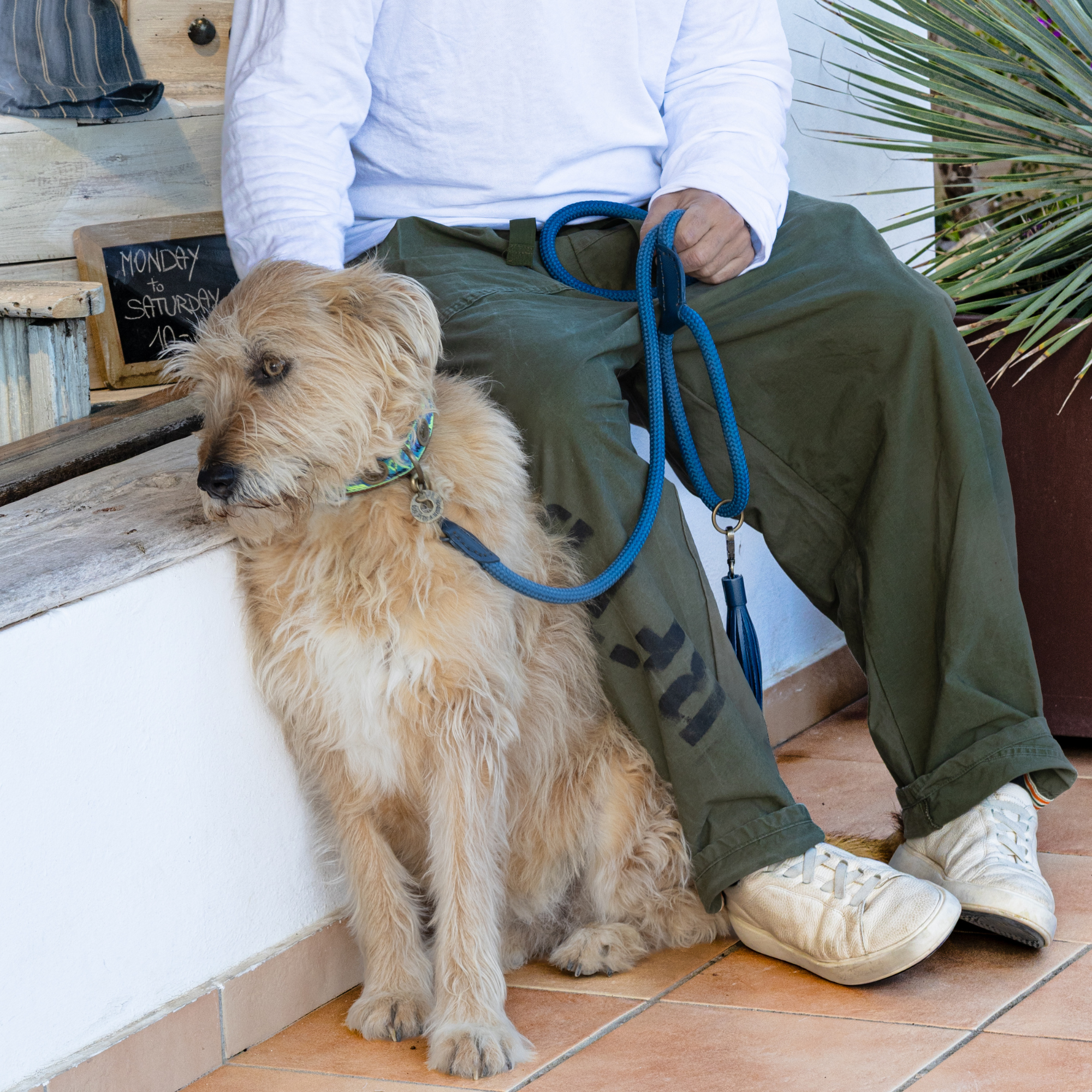 Classic Atlantic Dog Leash L (155 cm X 1,4 cm)