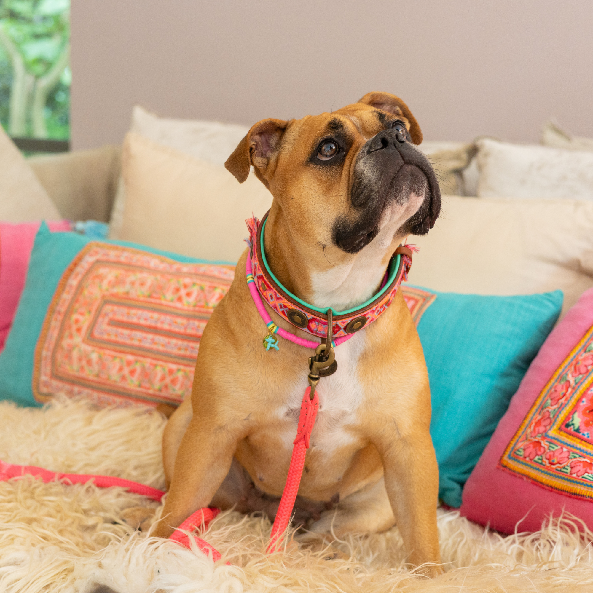 Boho Rosa Dog Collar XL (Neck Size 48-57 cm / 4 cm)
