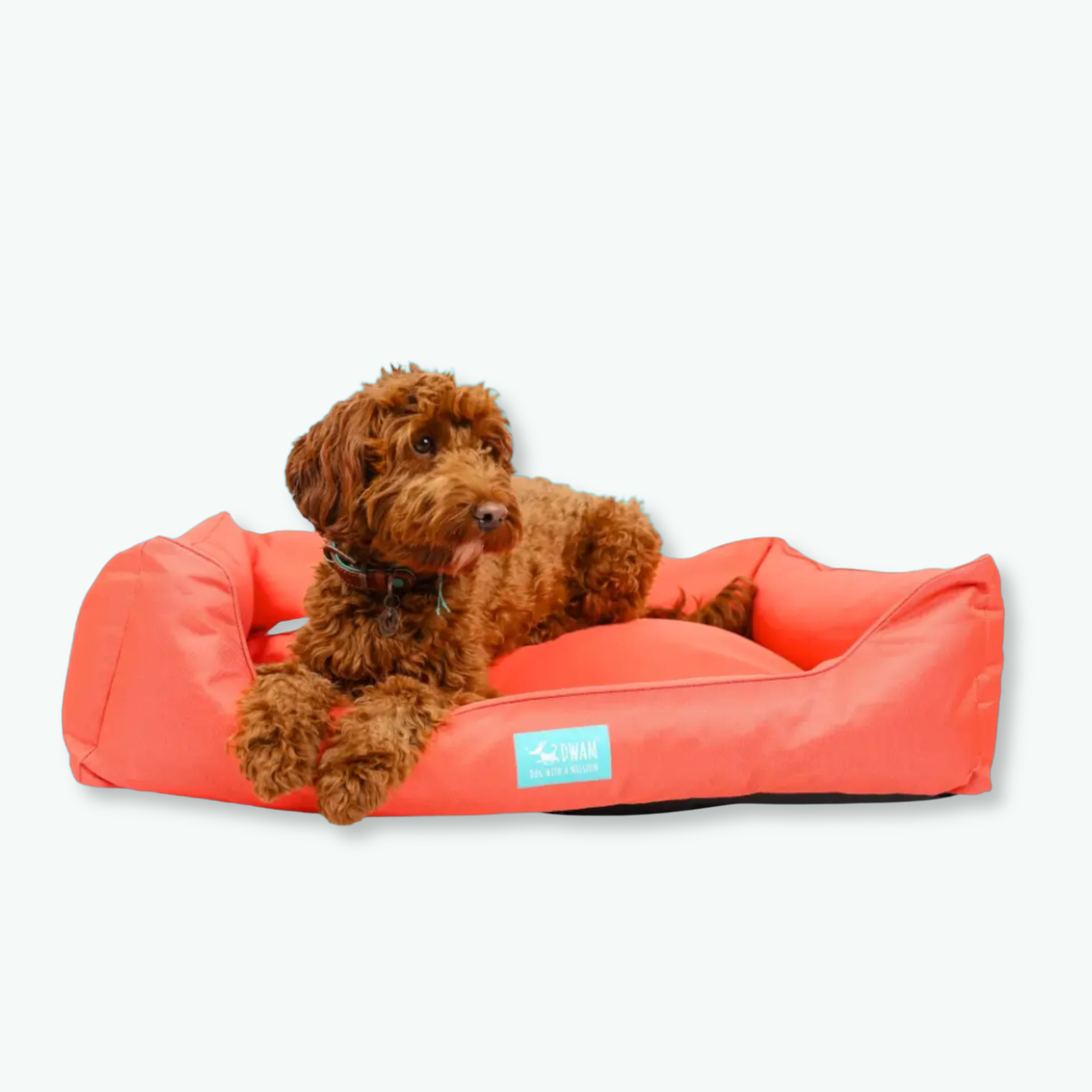 Booster Hondenmand Coral L 24 X 100 X 74 cm