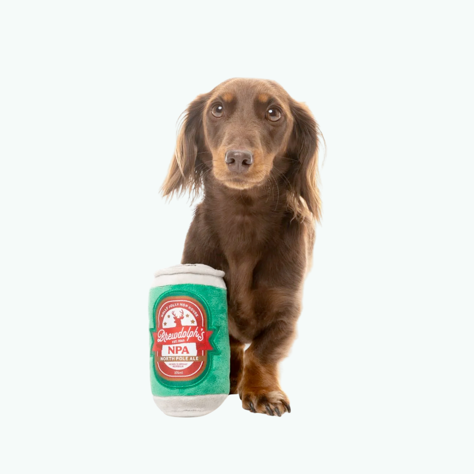 Dog Toy - Brewdolph's NPA