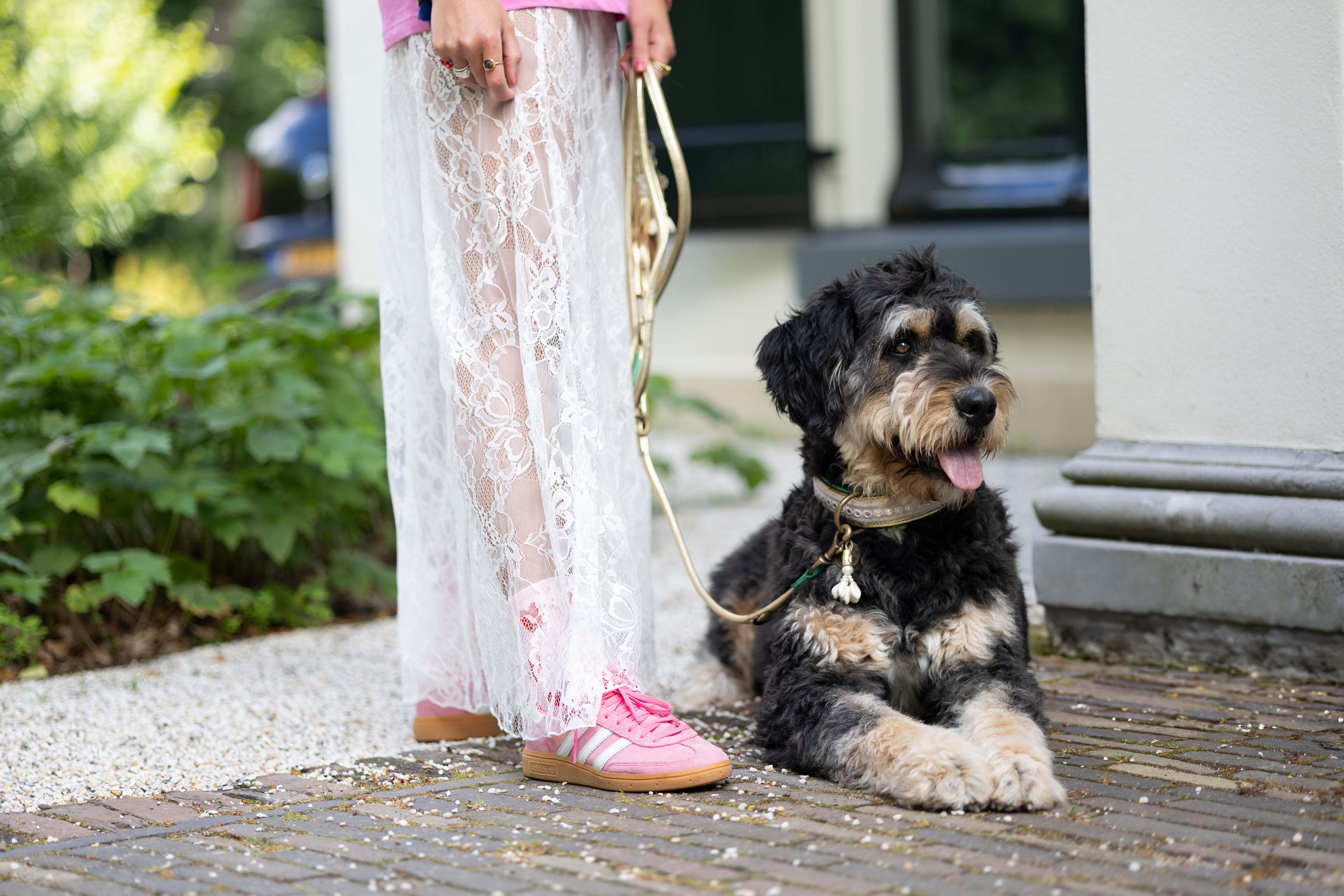 Love Story Hondenhalsband XXL (Halsomvang  55-65 cm / 4 cm)