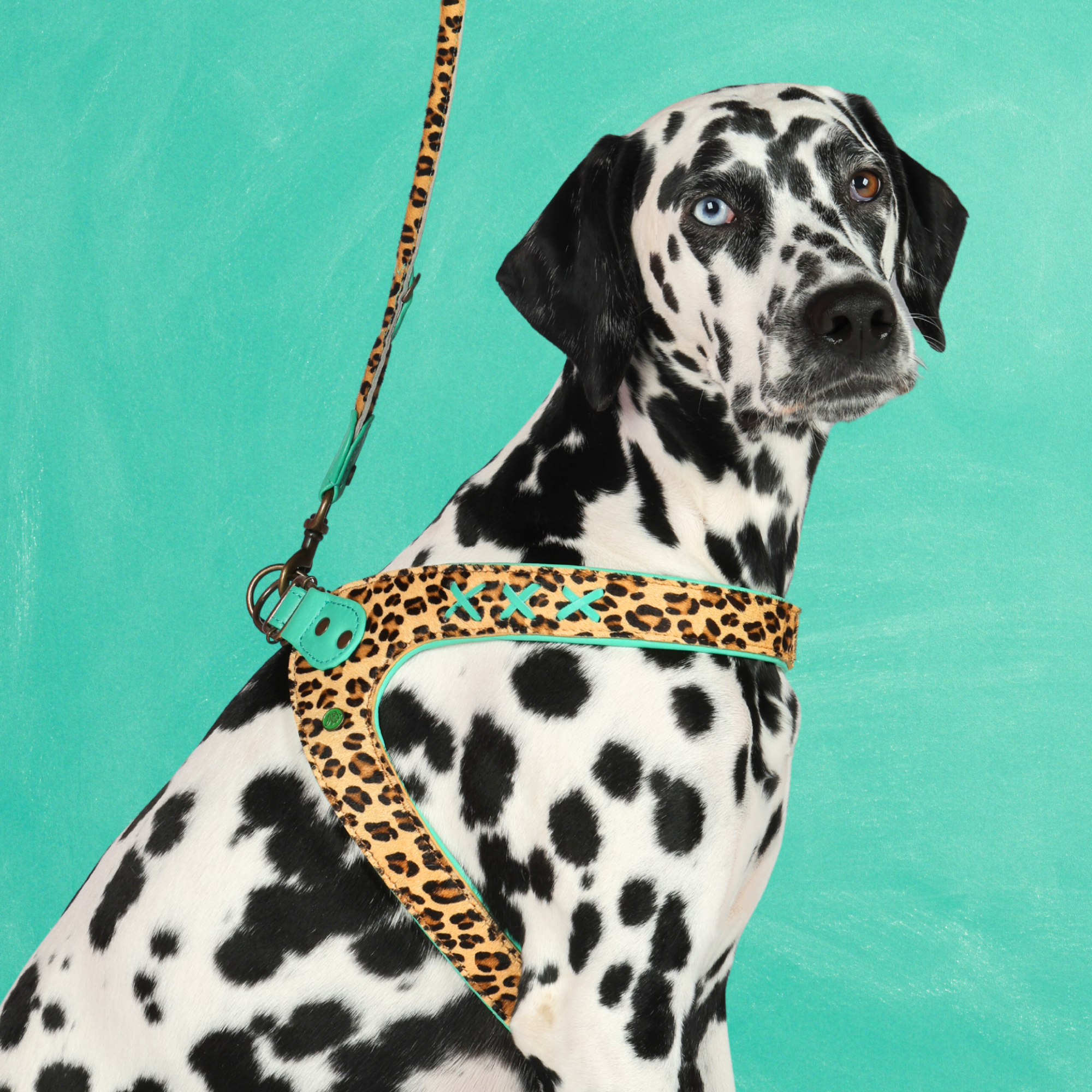 Posh Hundegeschirr Größe 8 (61-66 cm)