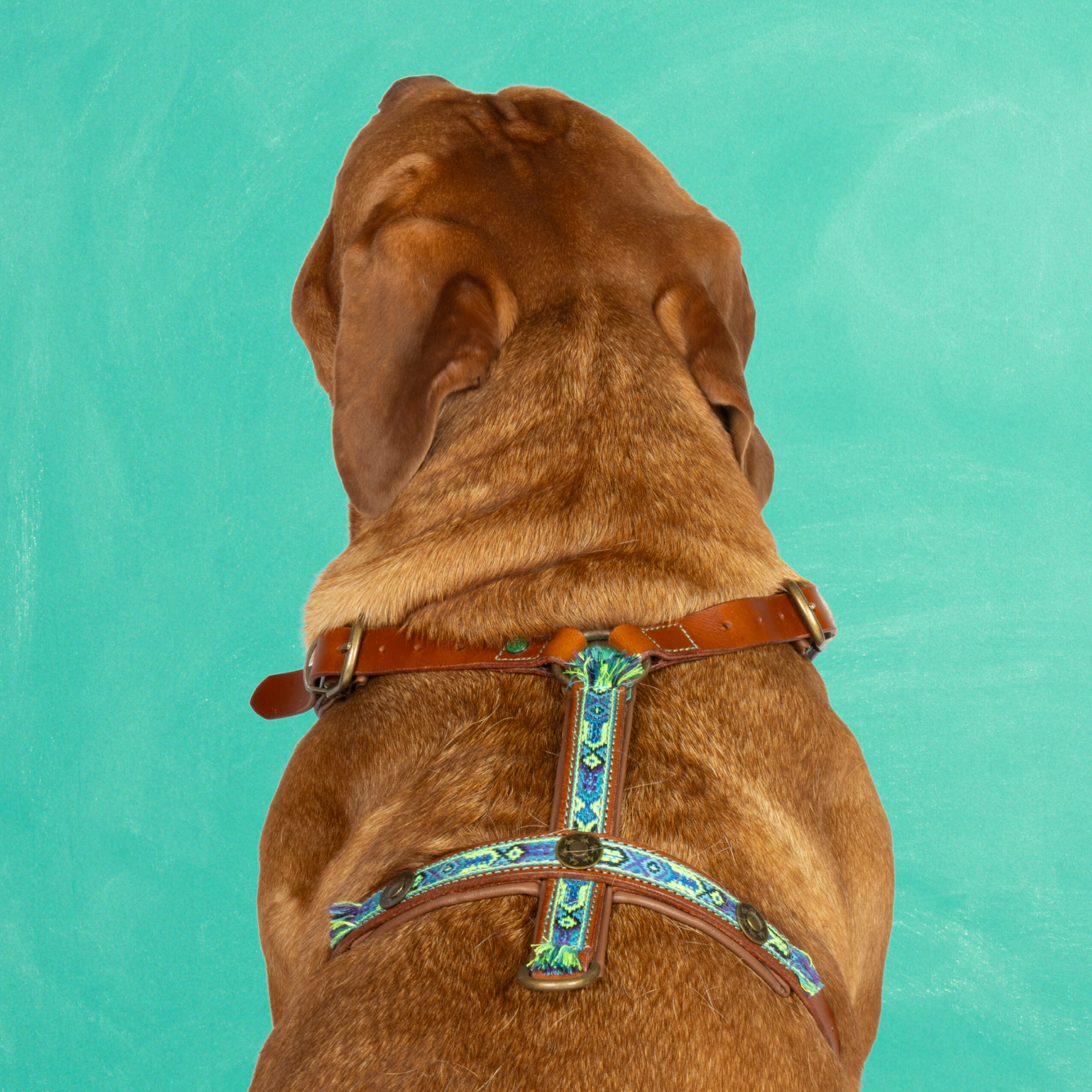 Boho Juan Dog Harness XL (78-96 cm)