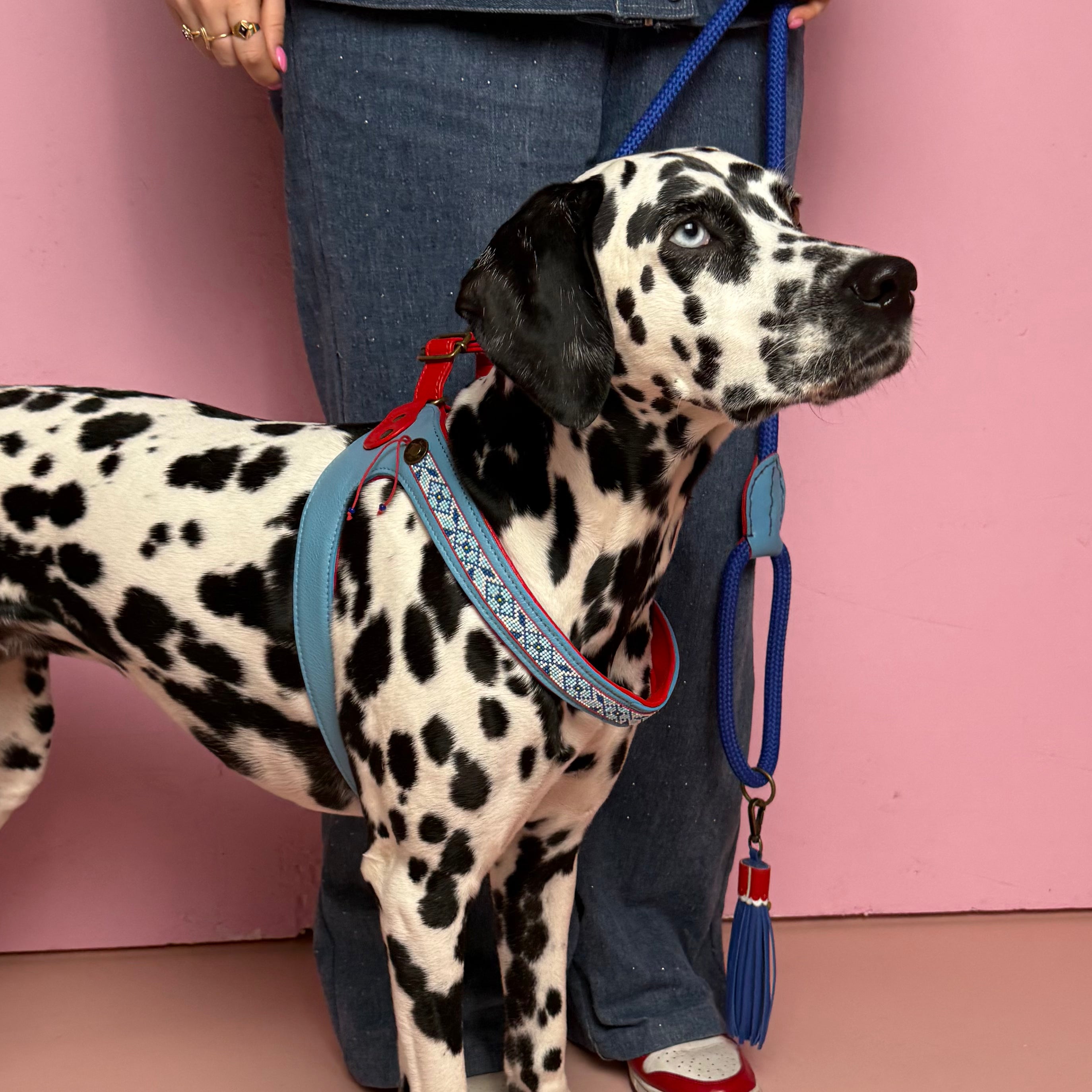 Dutchie Hundegeschirr Größe 7 (50-60 cm)