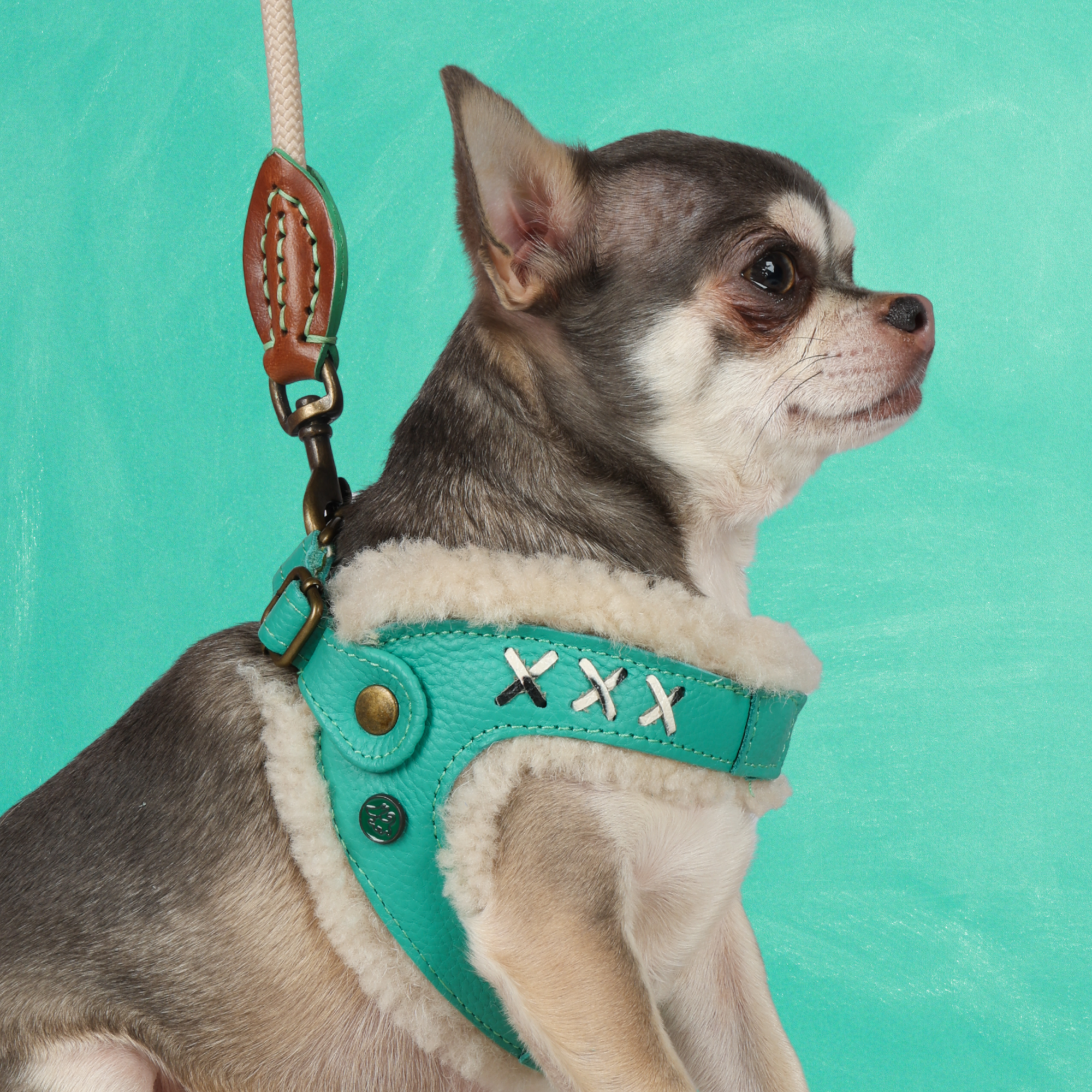 Frenkie Turquoise Hundegeschirr Größe 2 (27-32 cm)