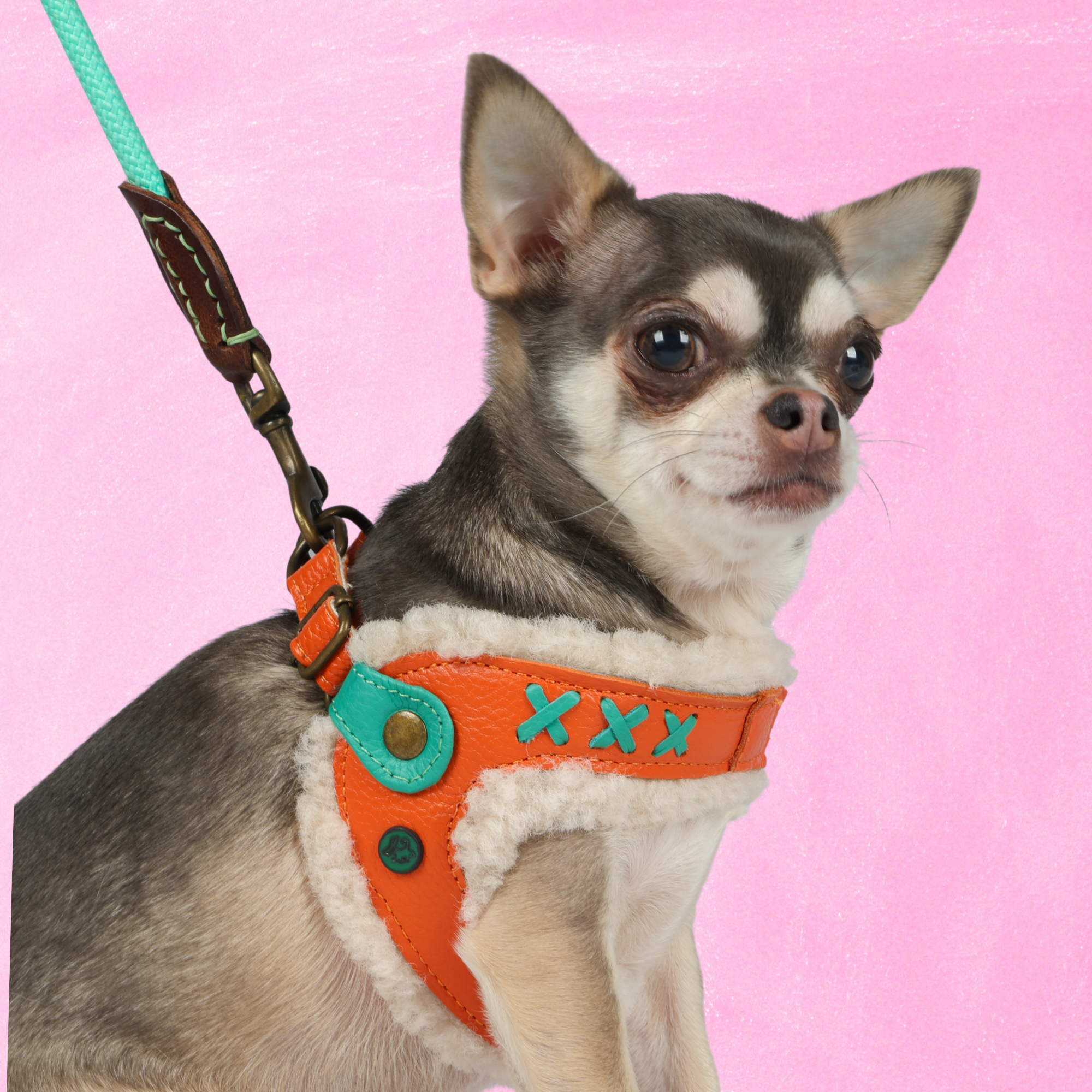 Jottum Orange Hundegeschirr Größe 2 (27-32 cm)