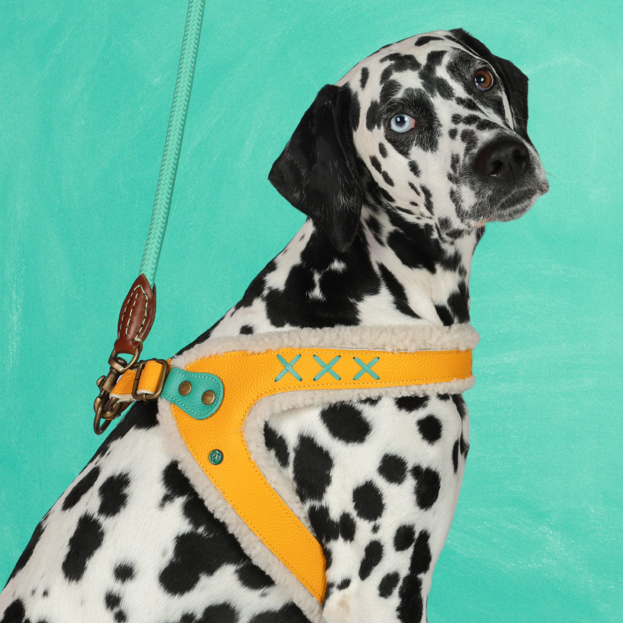 Mokum Gelbes Hundegeschirr Größe 8 (62,5-69 cm)