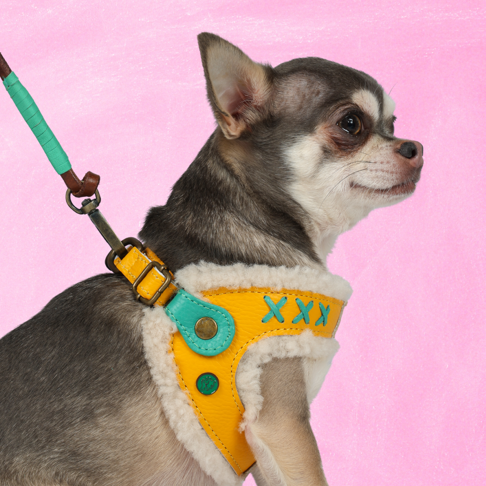 Mokum Gelbes Hundegeschirr Größe 2 (27-32 cm)