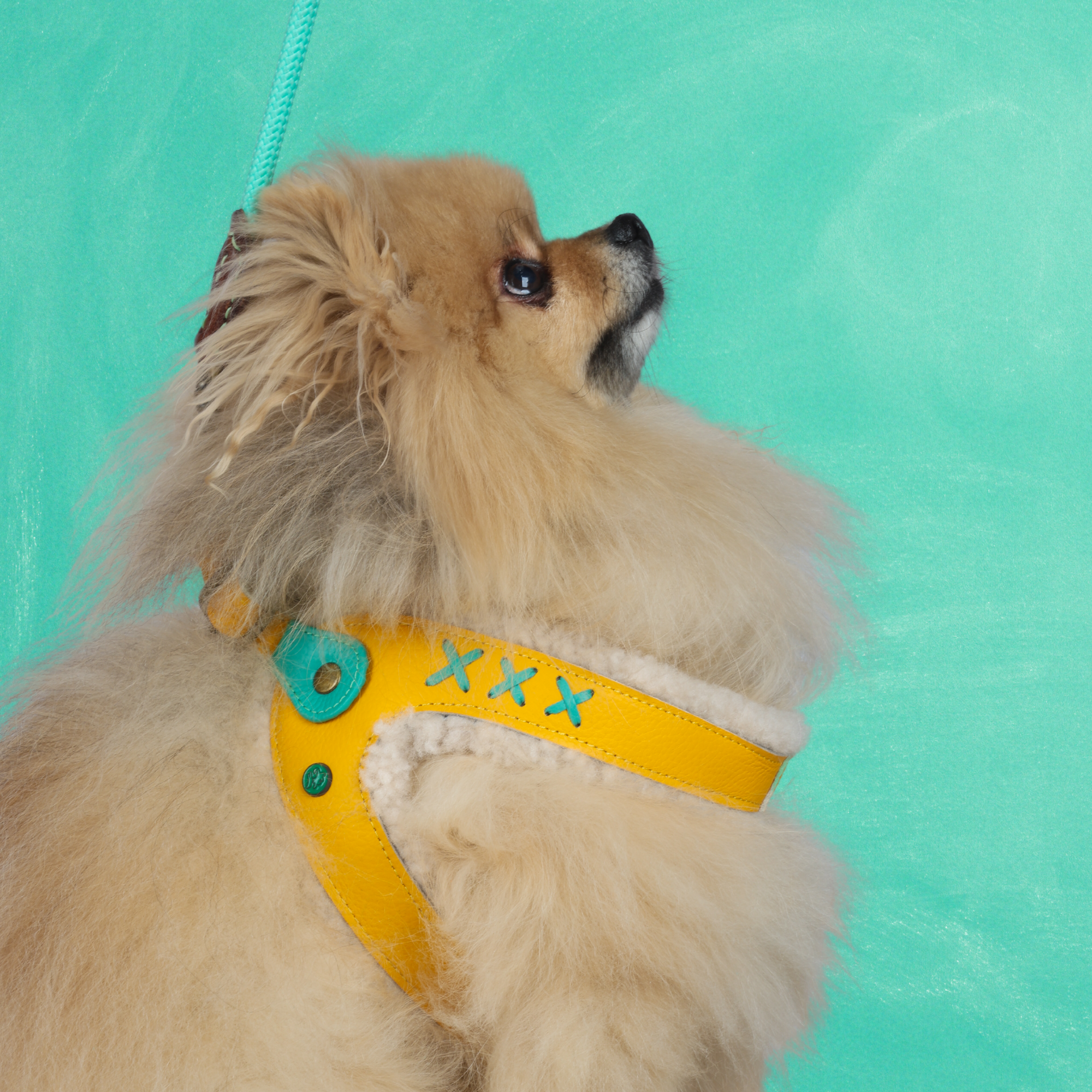 Mokum Gelbes Hundegeschirr Größe  5 (40-46 cm)