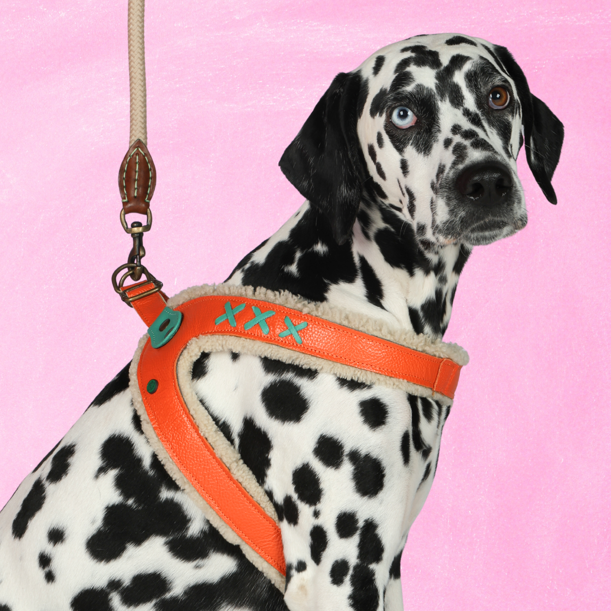 Jottum Orange Hundegeschirr Größe 8 (62,5 - 69 cm)